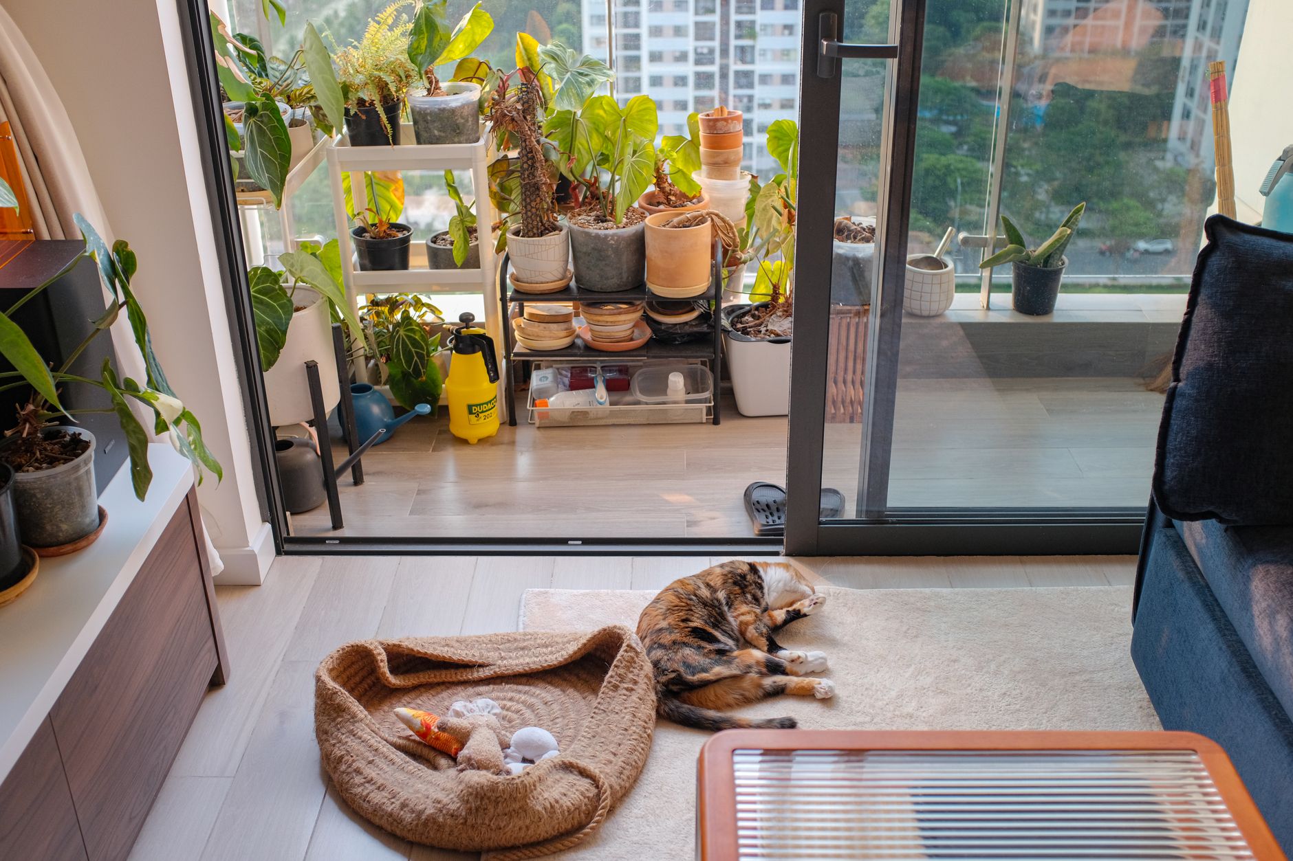 Assessing apartment window light