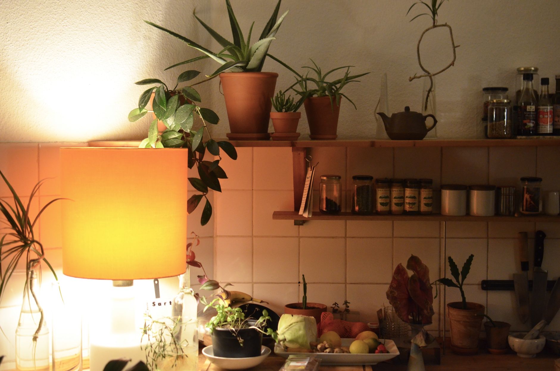 Grow light setup for apartment plants