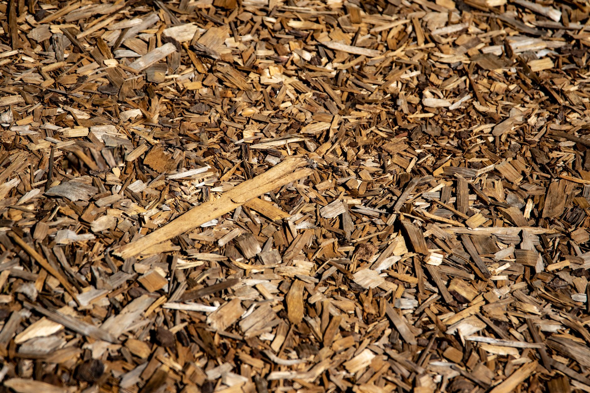 Straw mulch in a vegetable garden