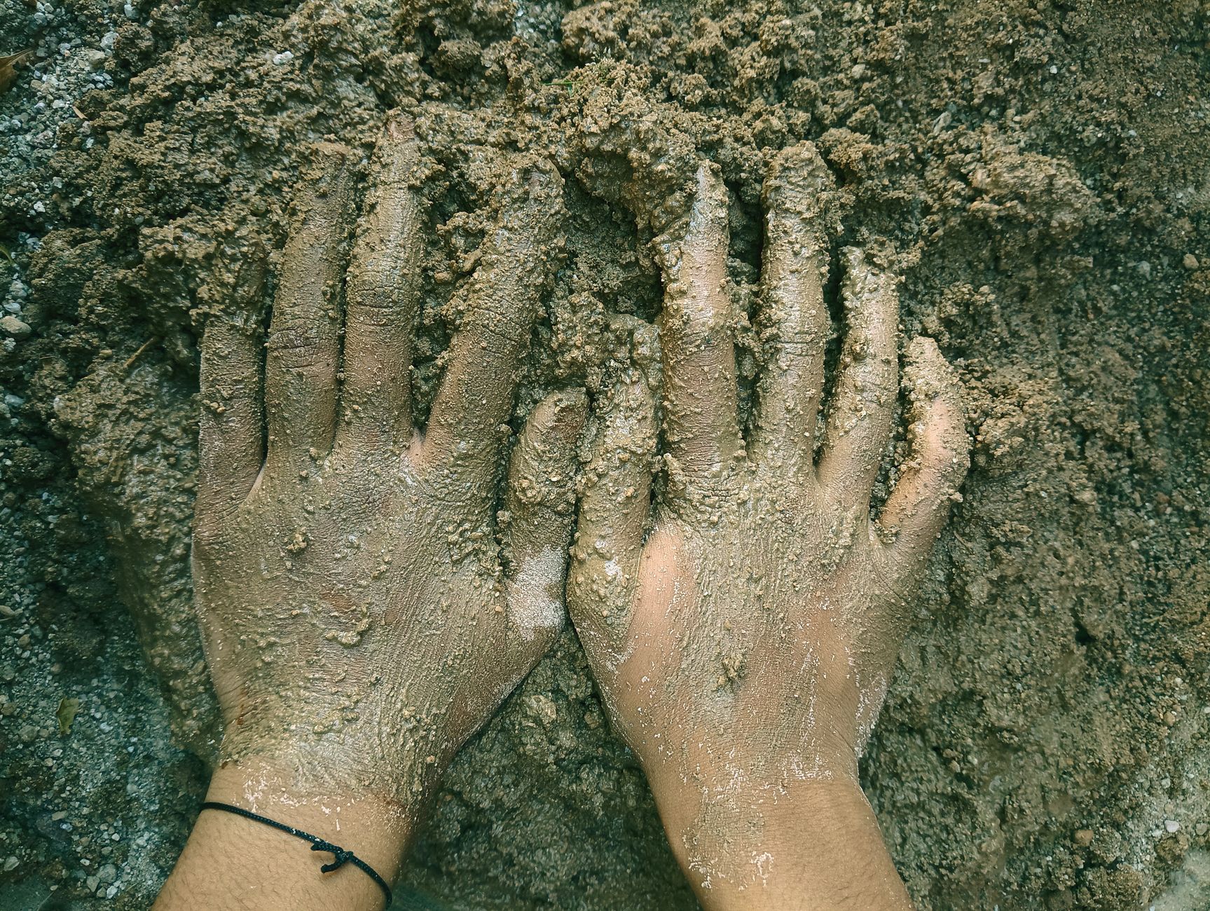Loam soil texture