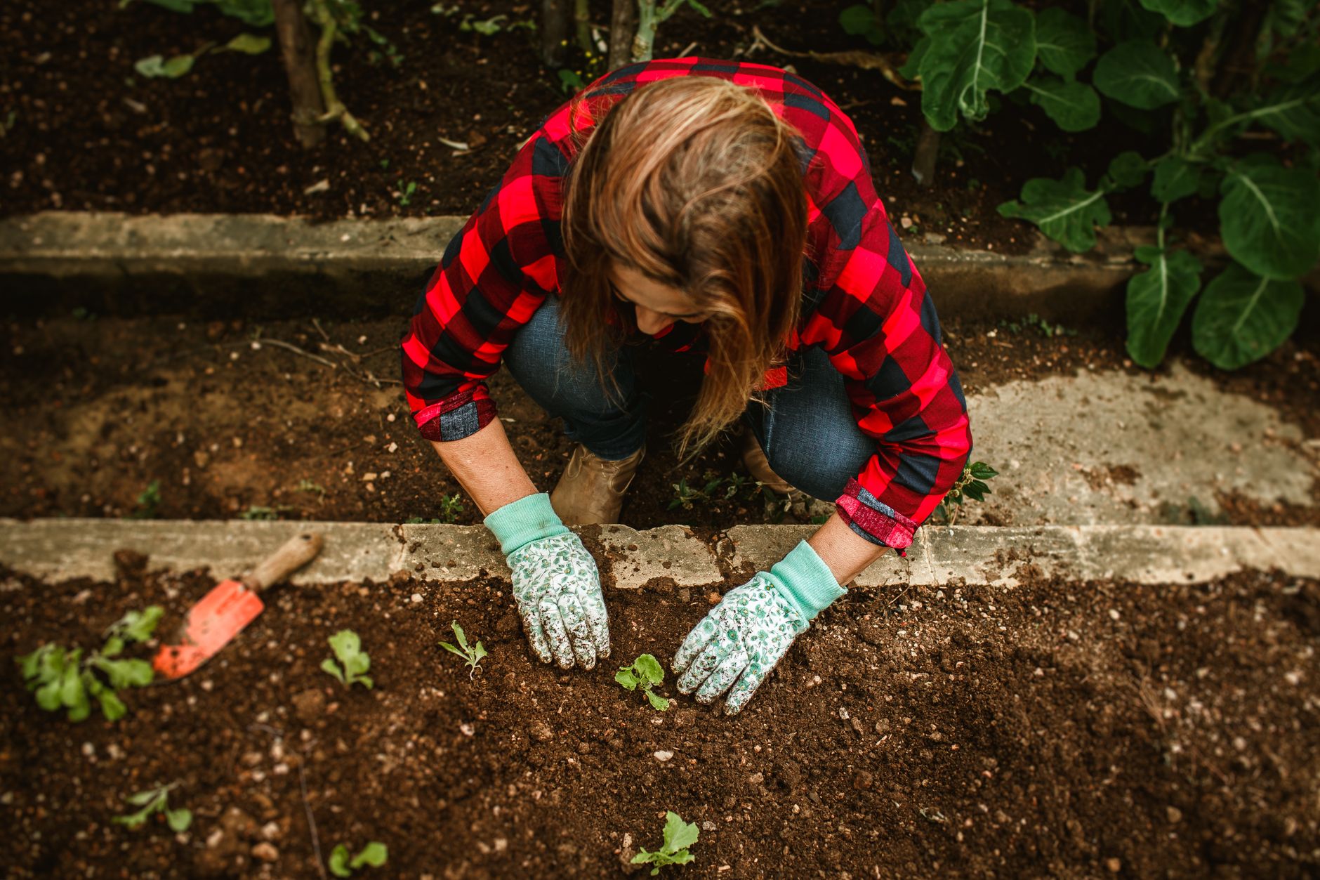 Raised bed with ideal soil