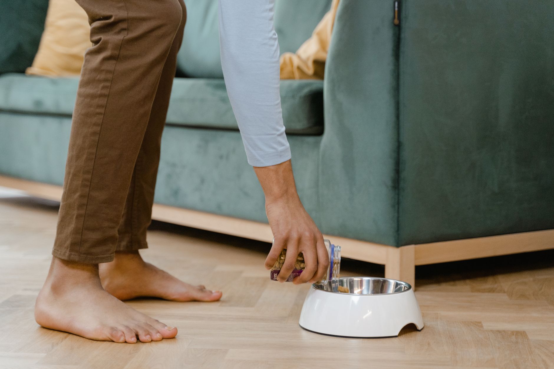 Pet safety with blood meal