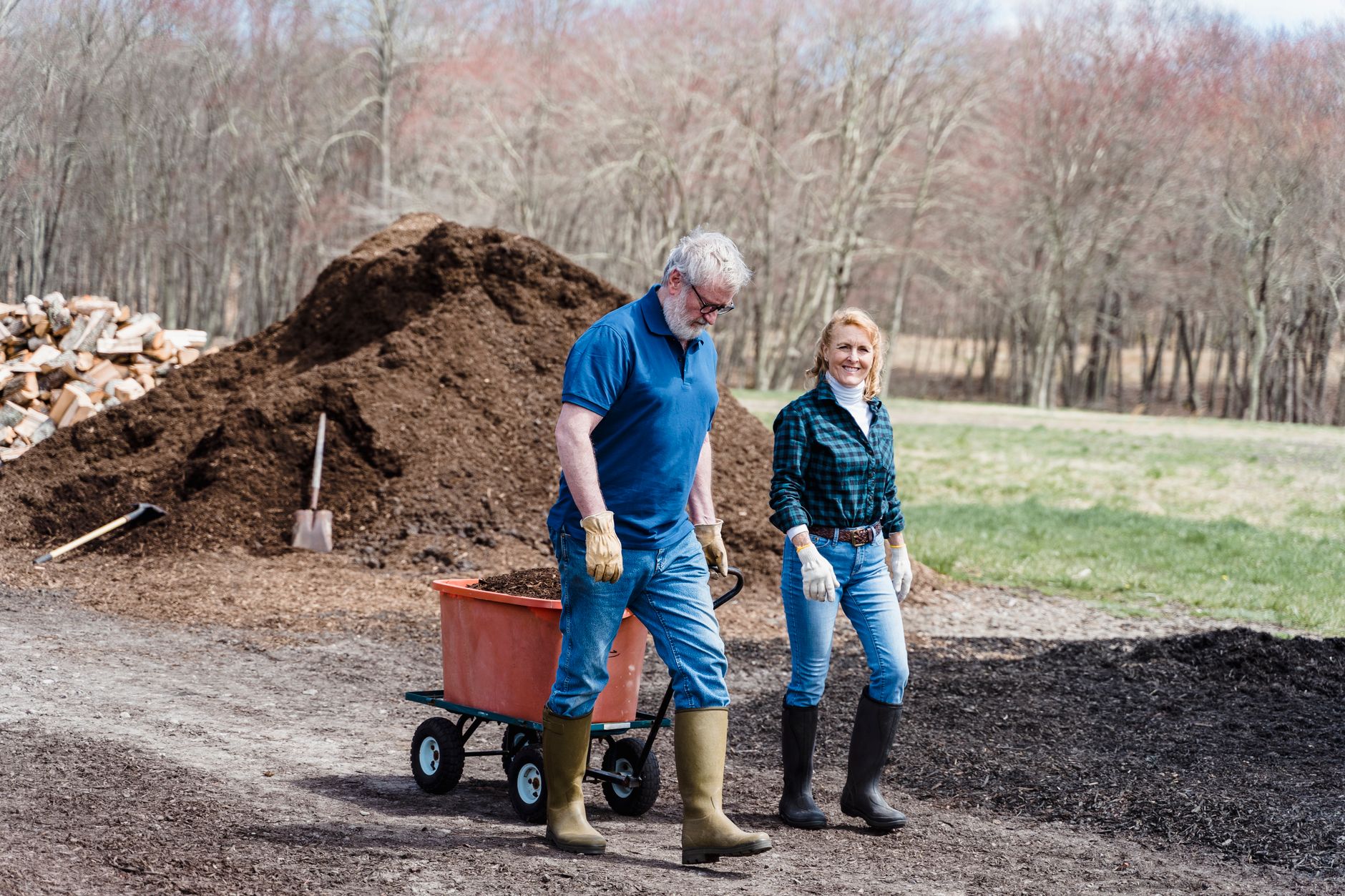Applying composted chicken manure