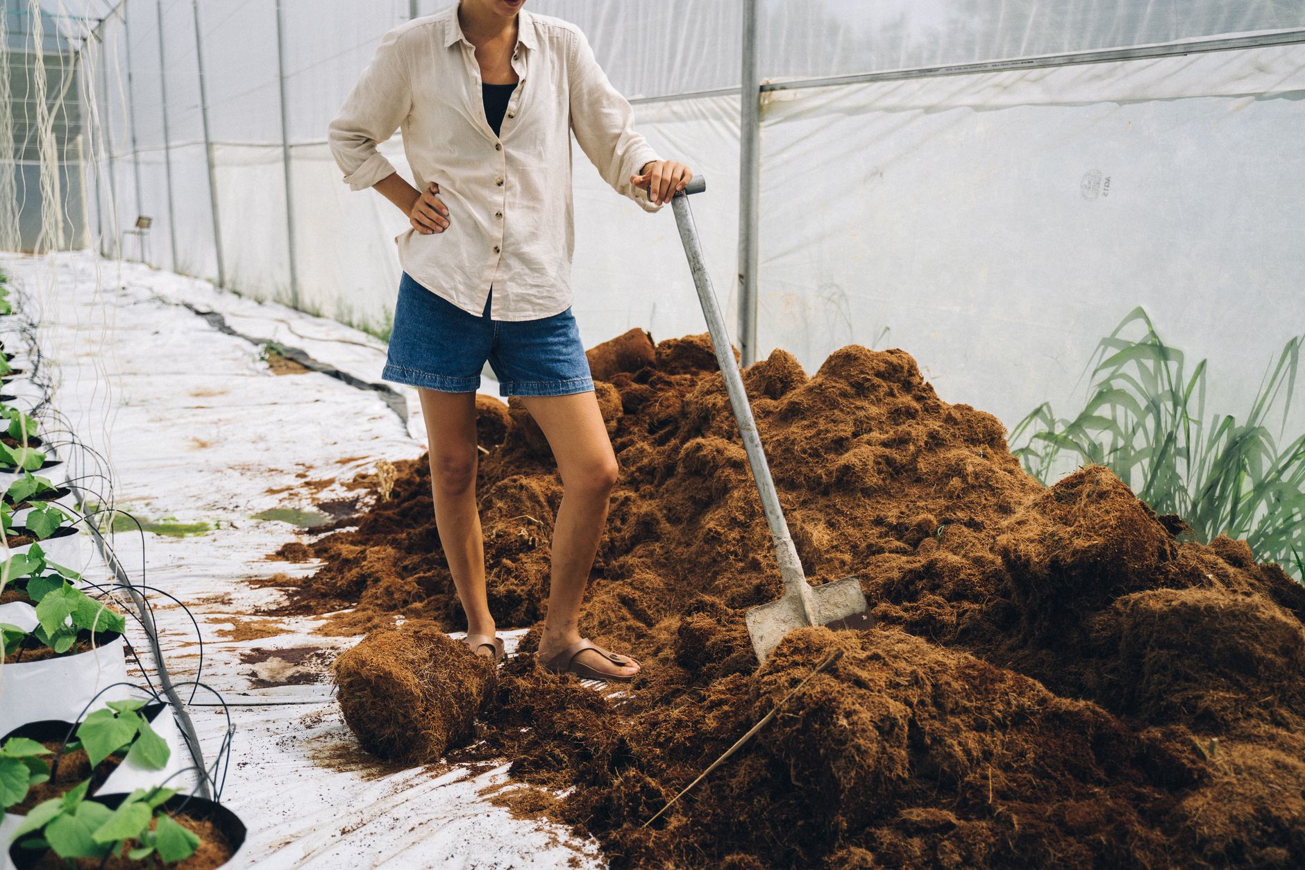 Adding coffee grounds to compost