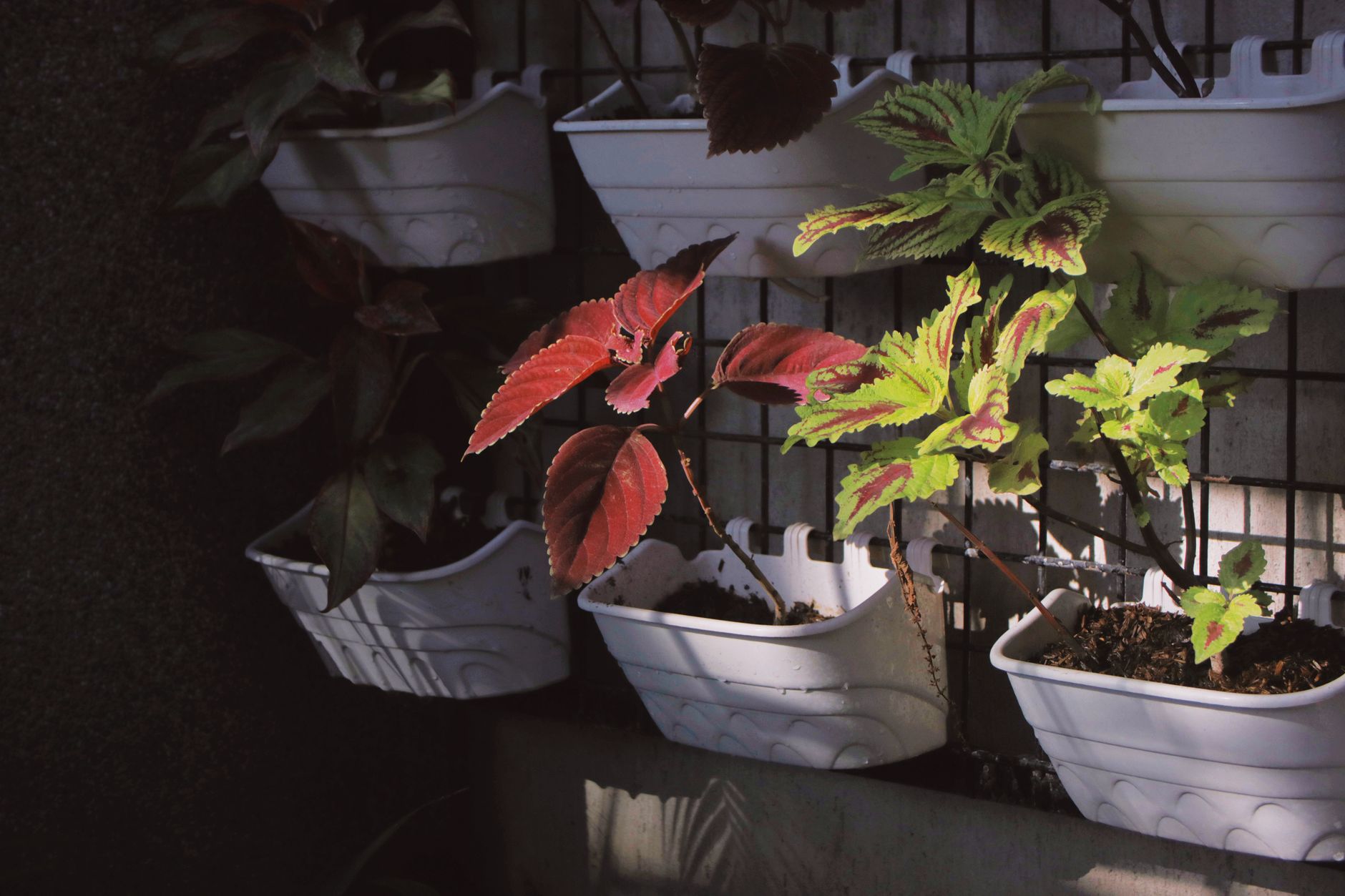 Assessing sunlight for container placement