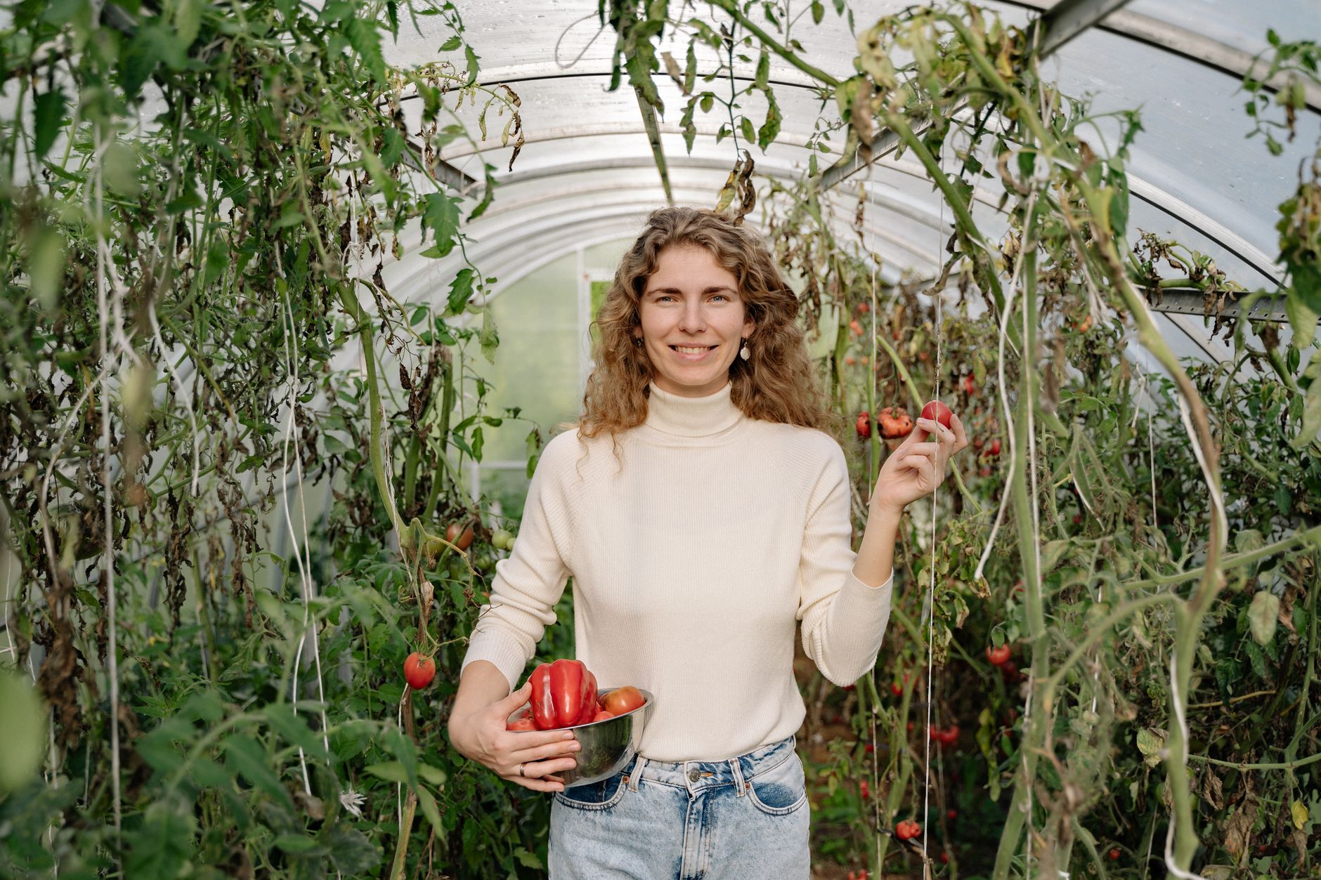 Beginner-friendly container crops