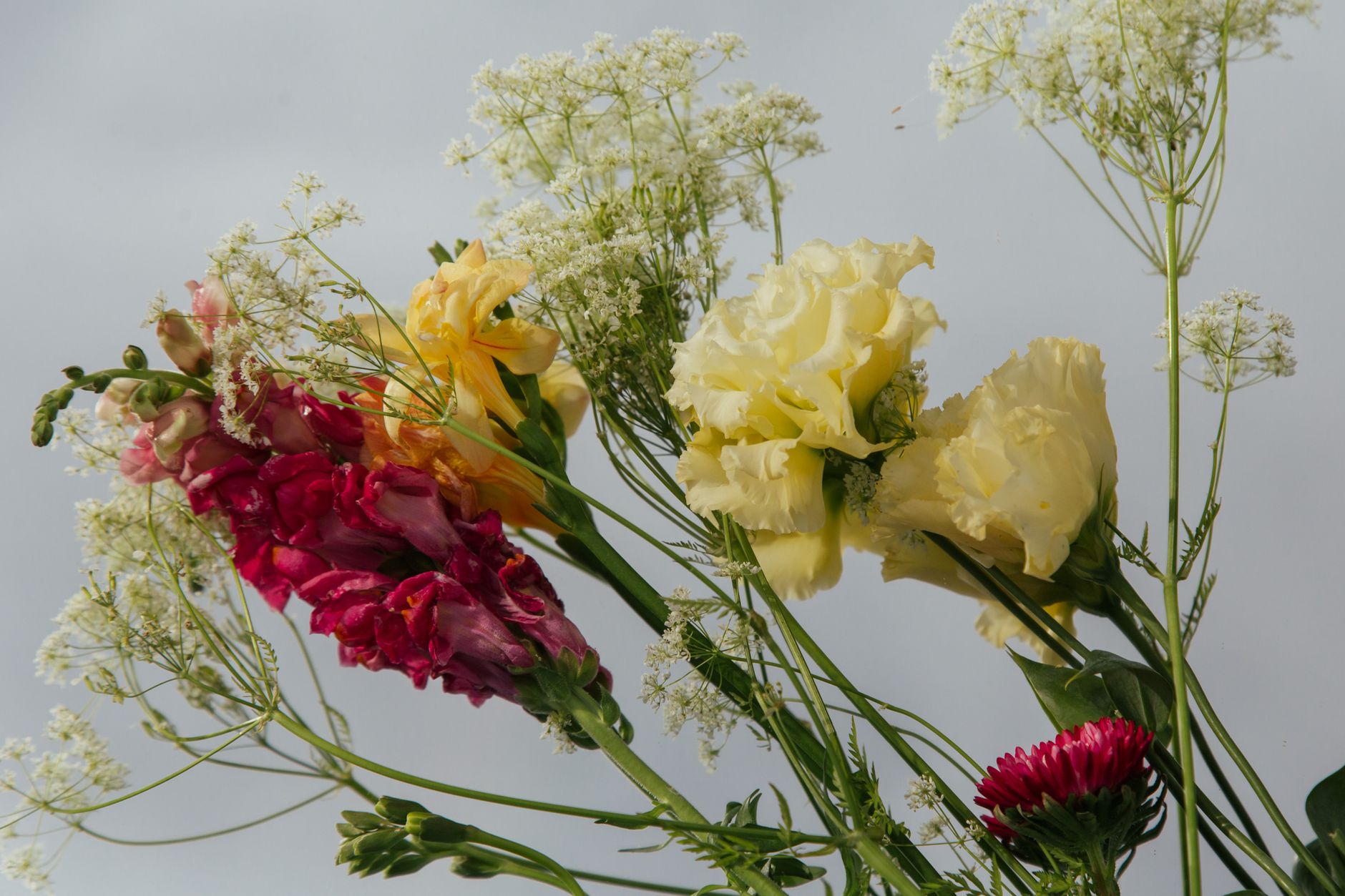 Succession planting