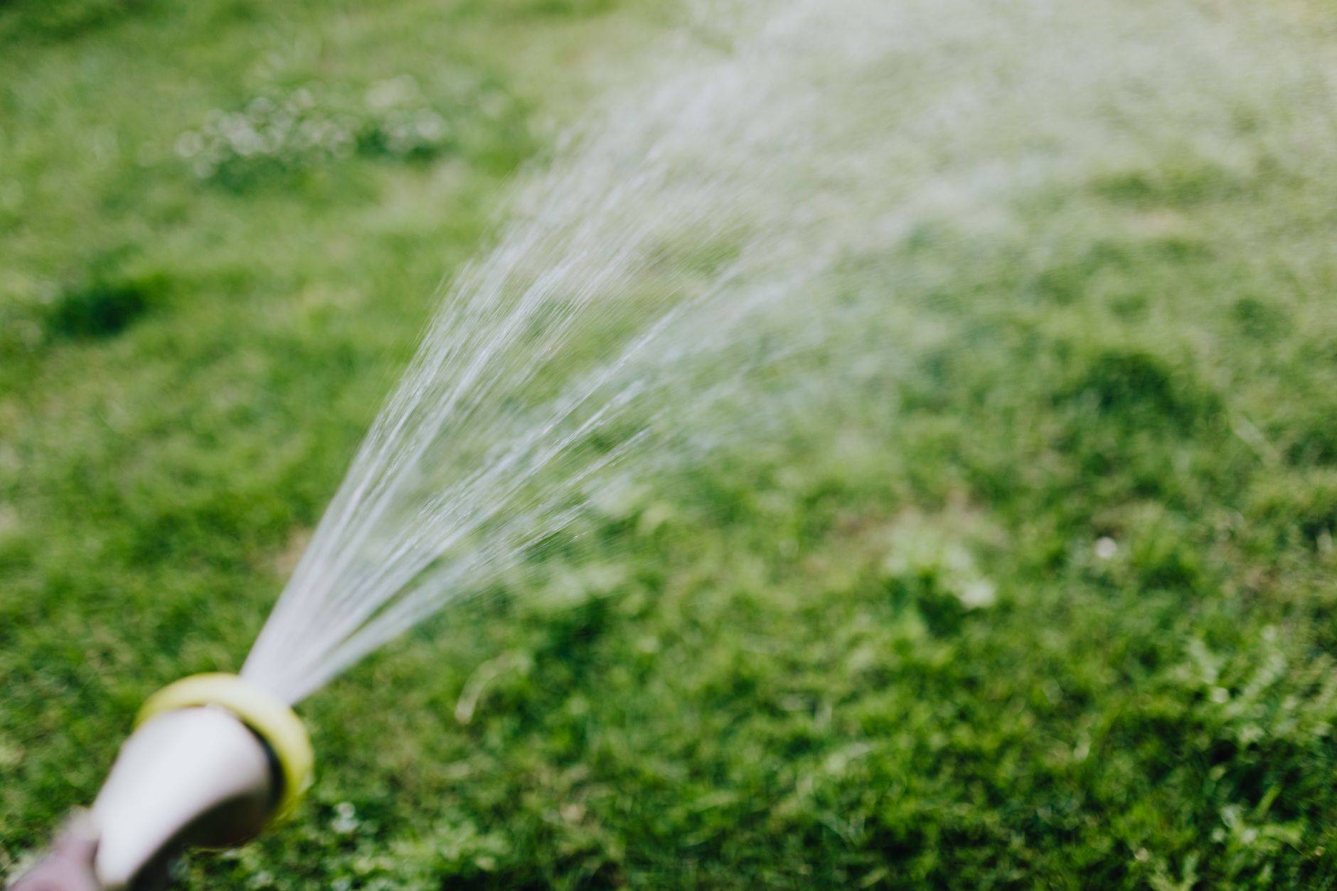 Watering an elevated bed