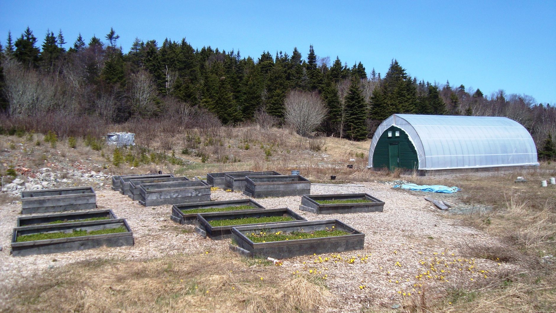 Raised beds of different depths