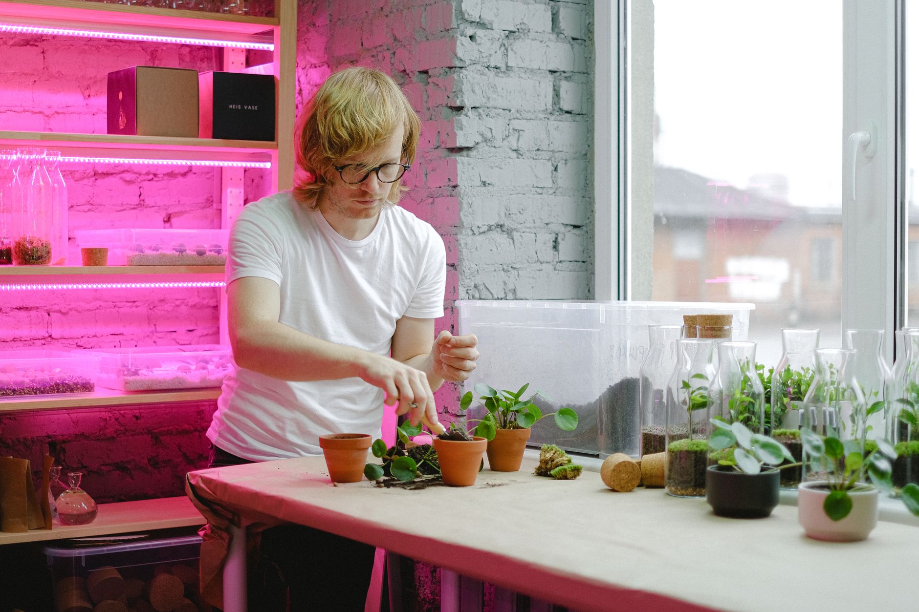 Types of grow lights