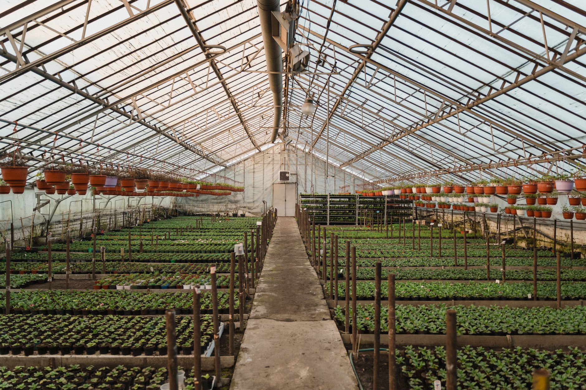 Light spectrum for seedlings