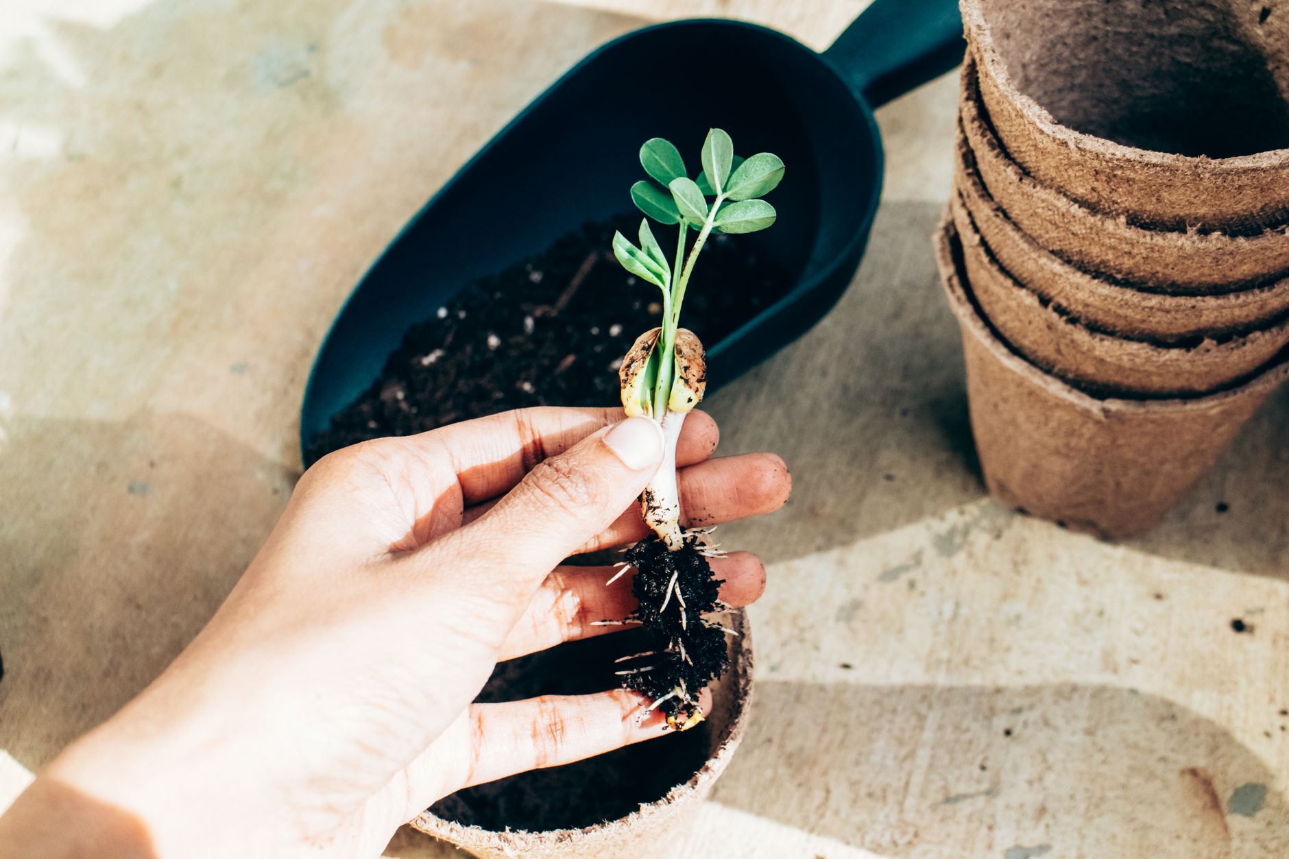 Grow light mistakes