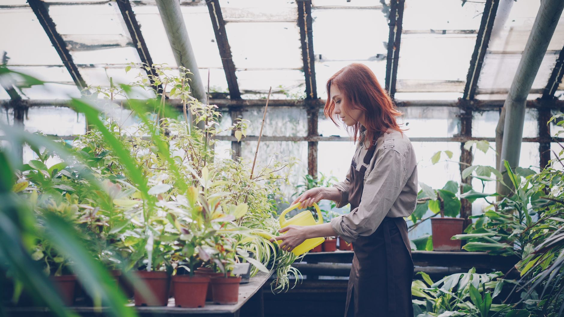 Comparing grow lights