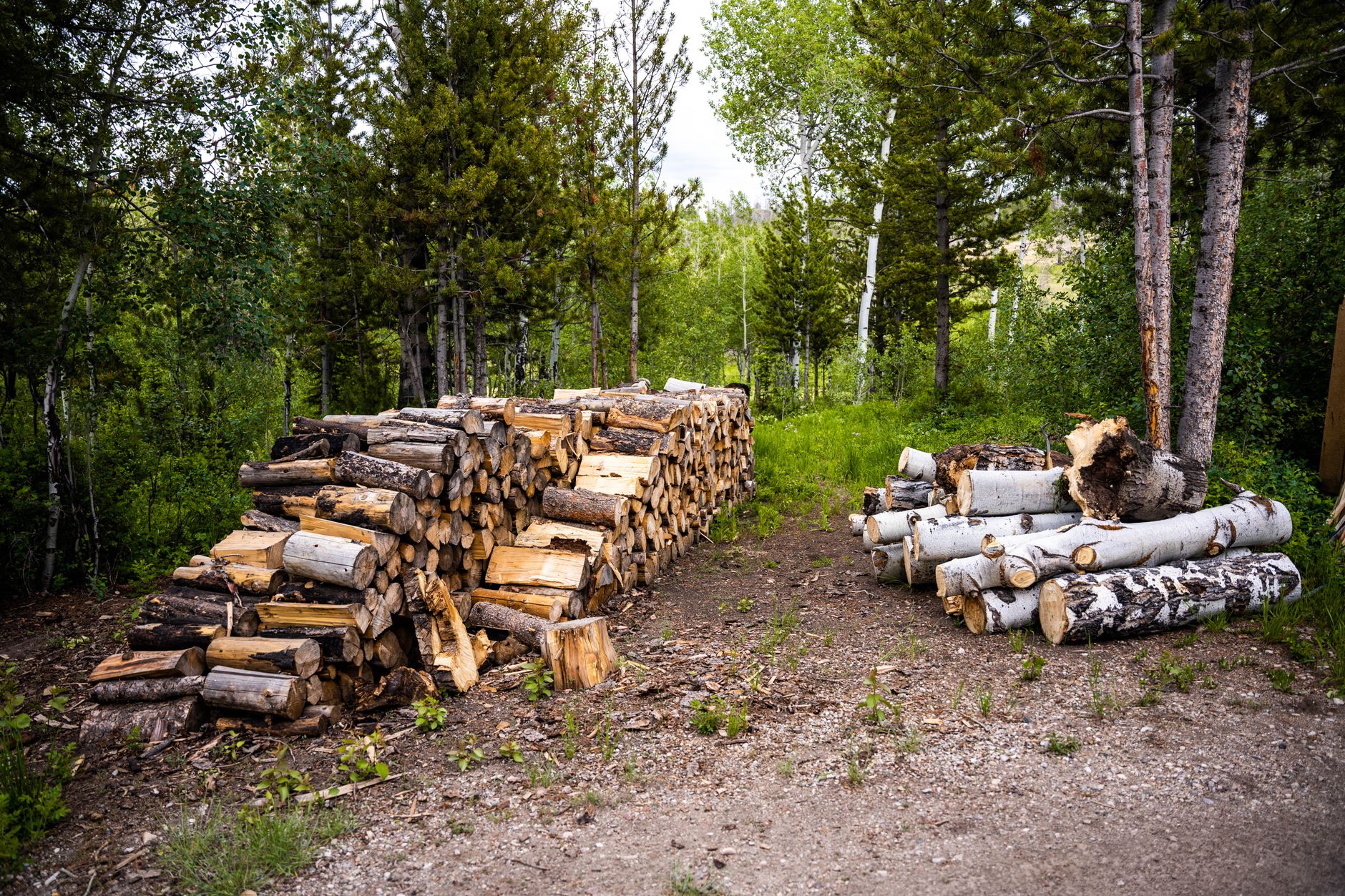 Local homesteading community connections