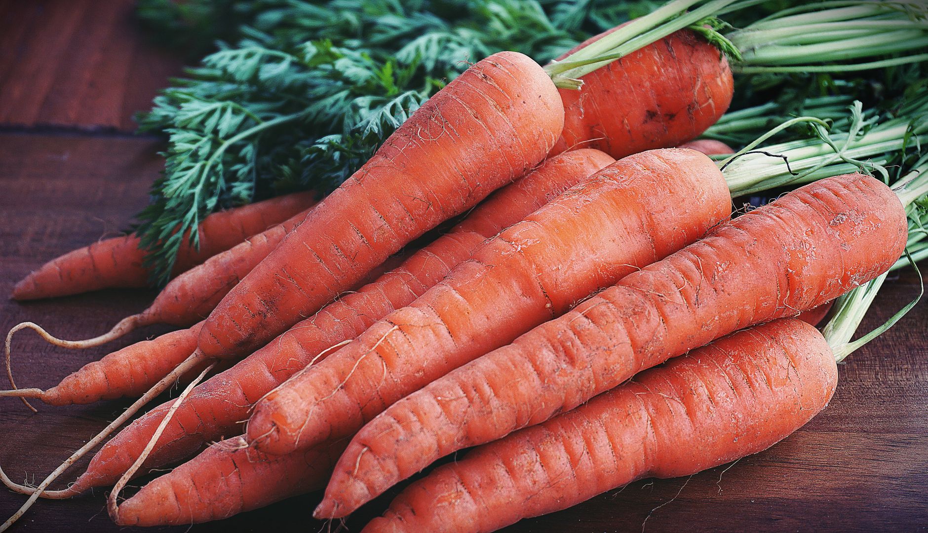 Deep bed for root vegetables