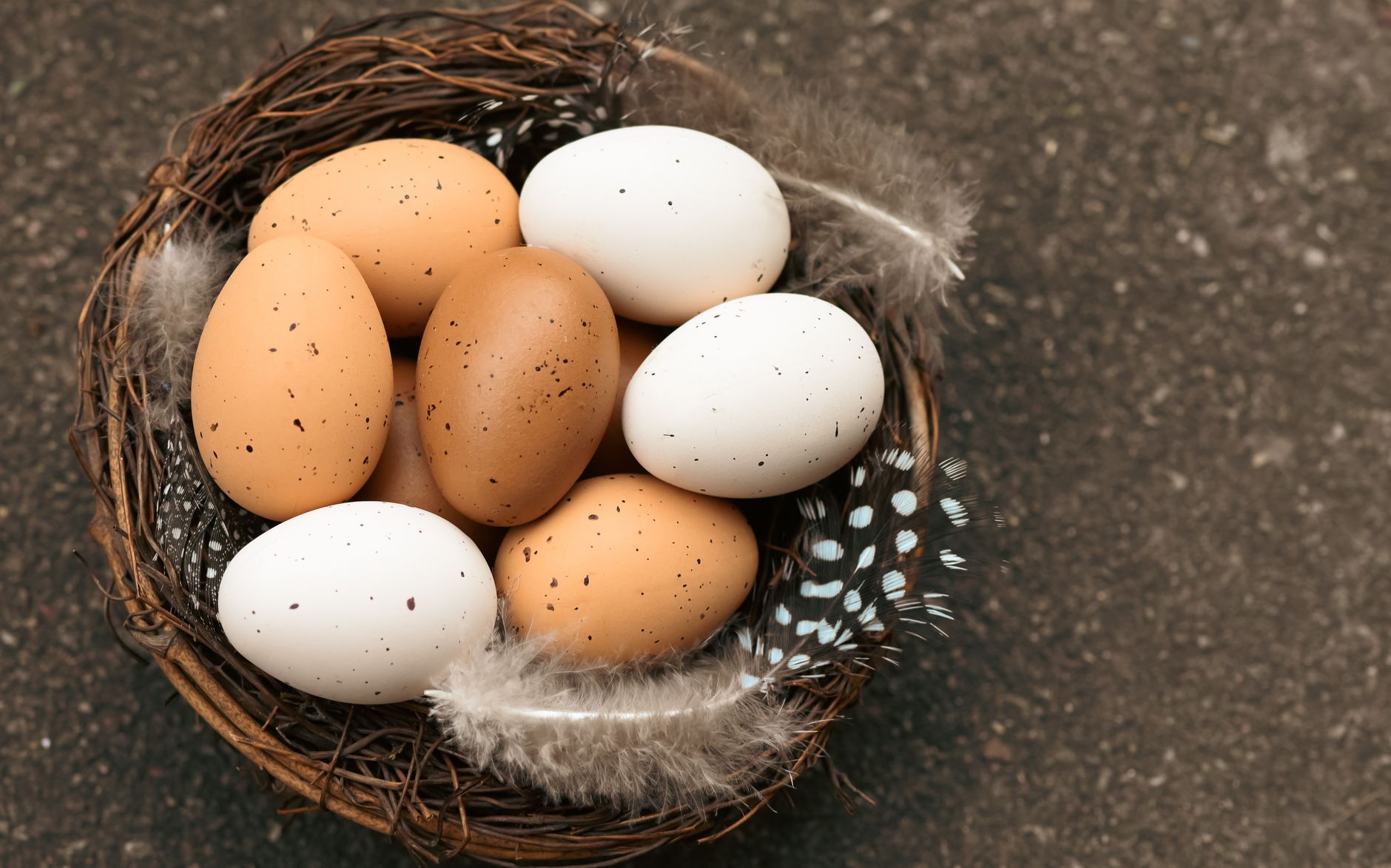 Egg surplus