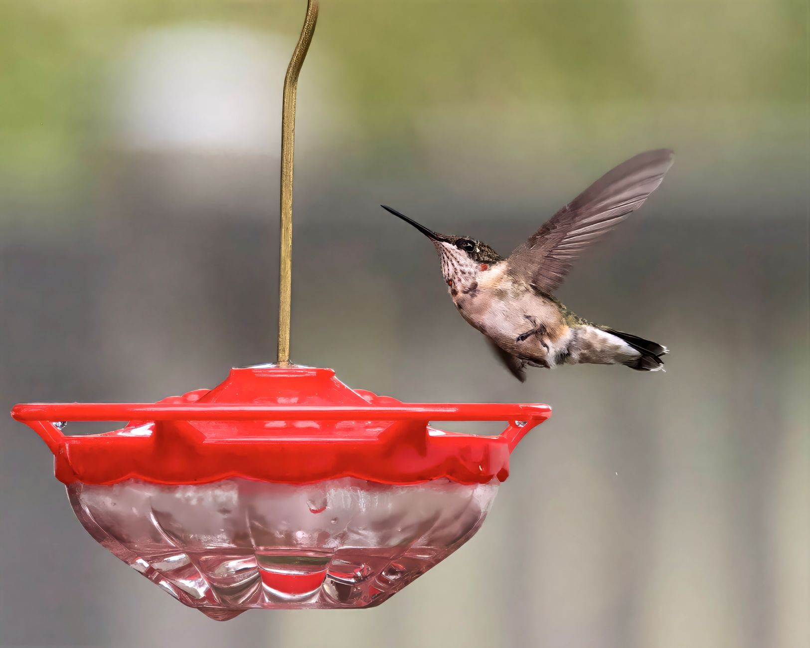 Cleaning feeders
