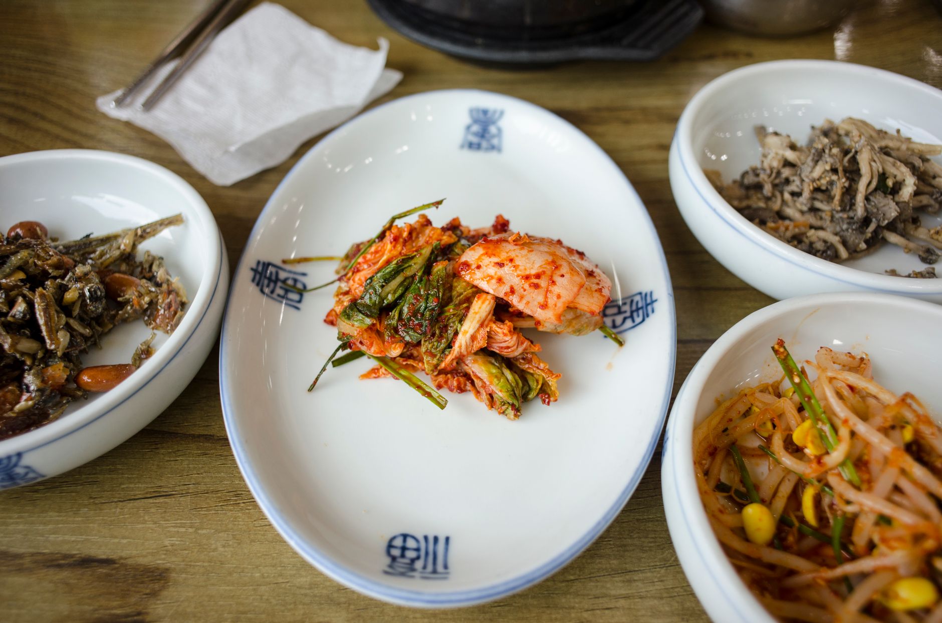 Variety of fermented vegetables