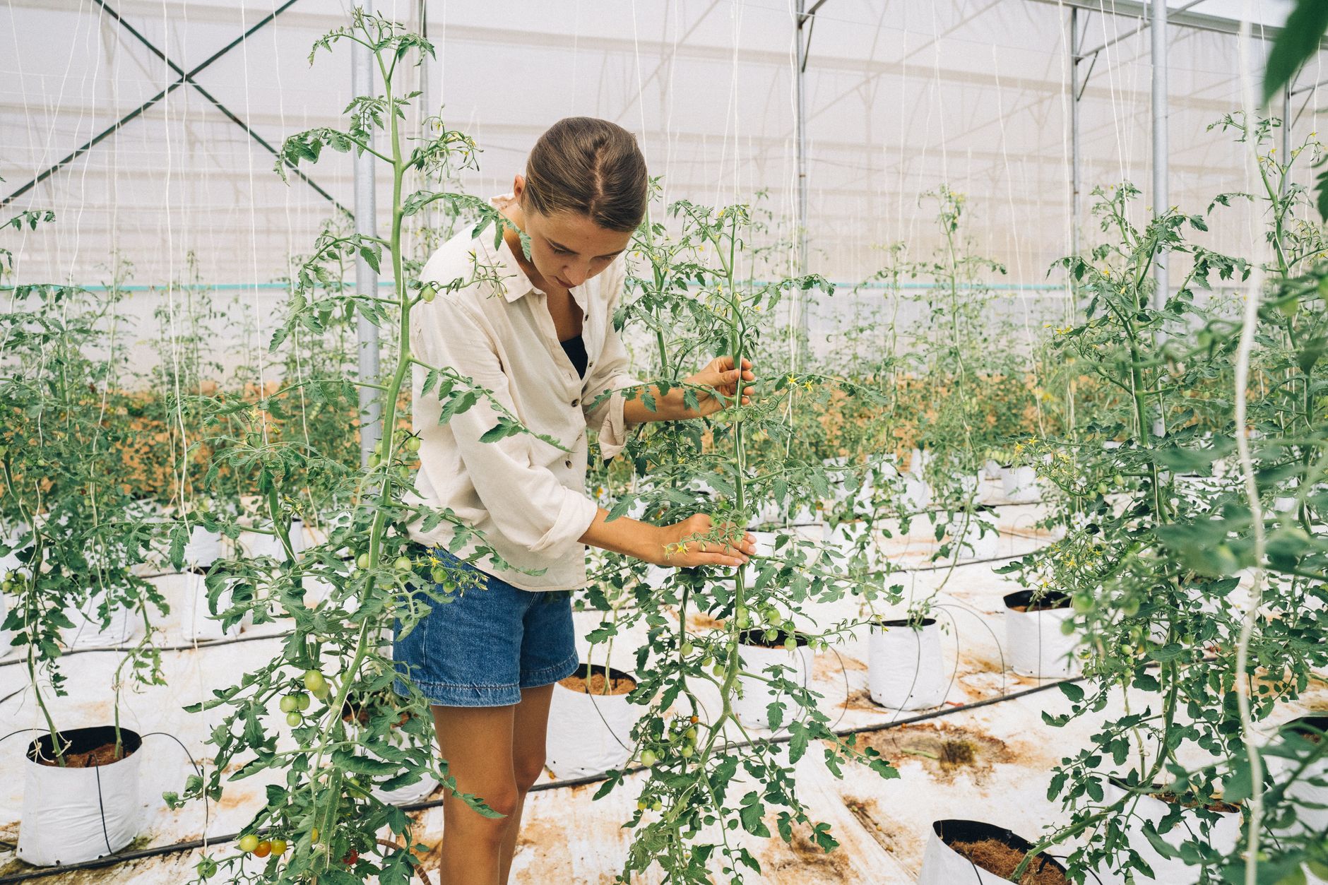 Replanting deeper