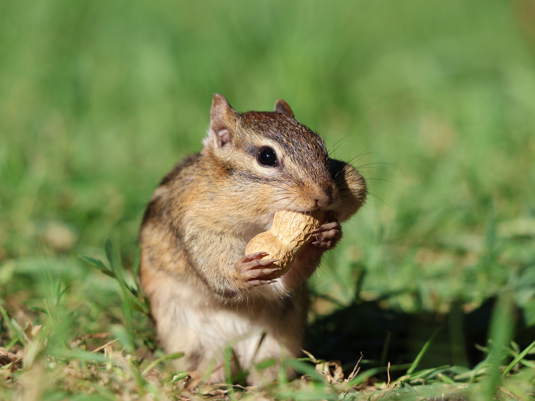 Professional help