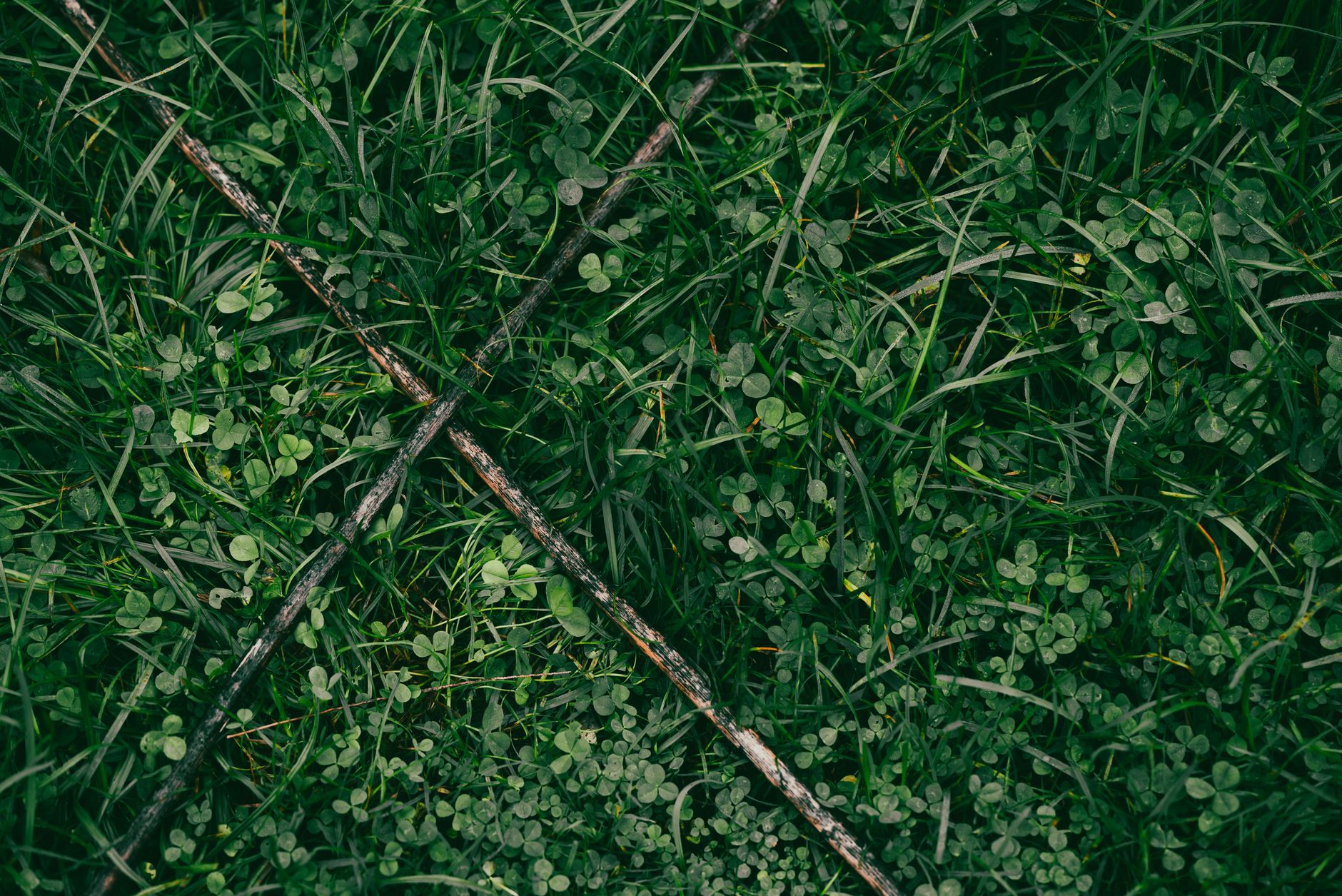 Broadleaf herbicide