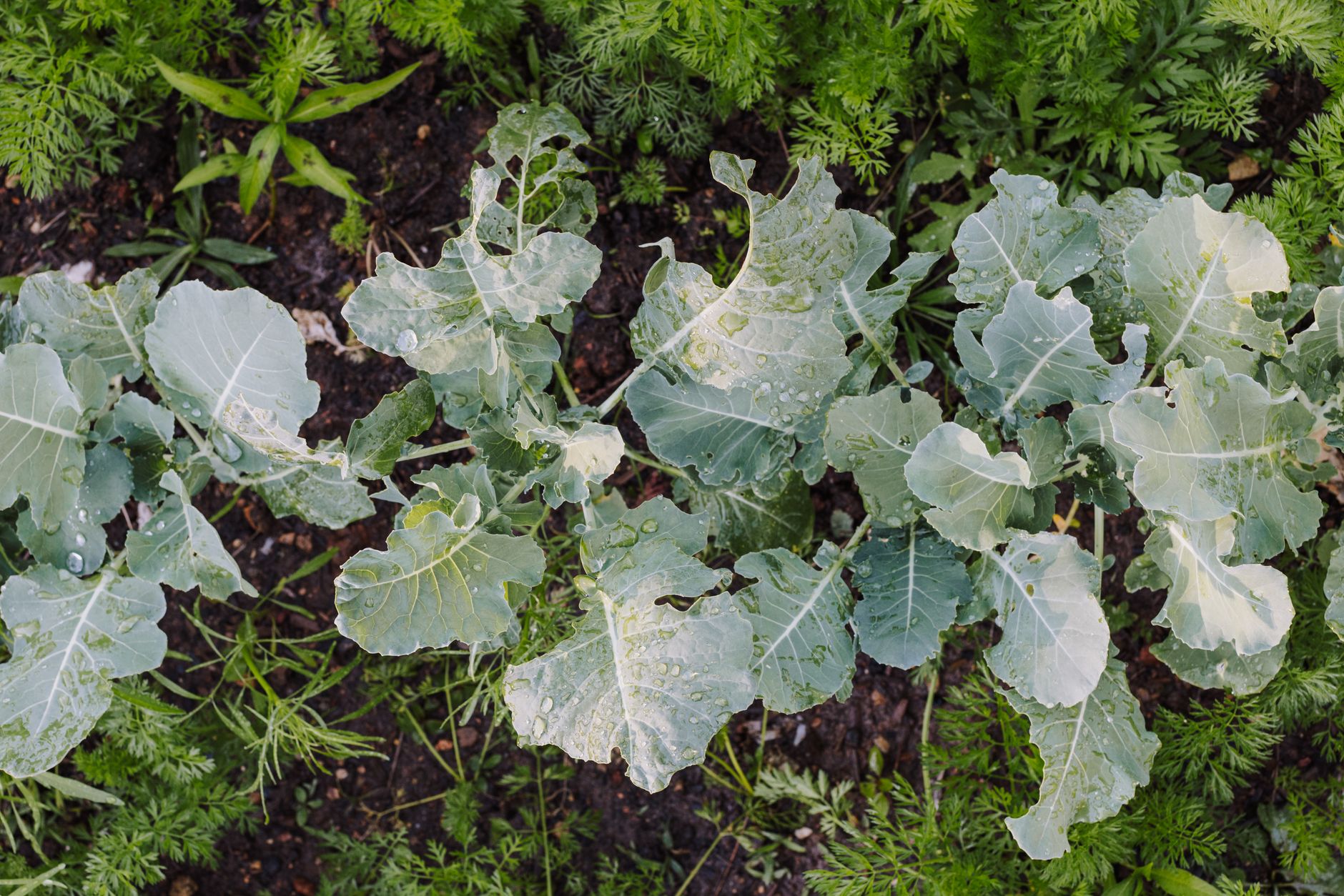 Prevention