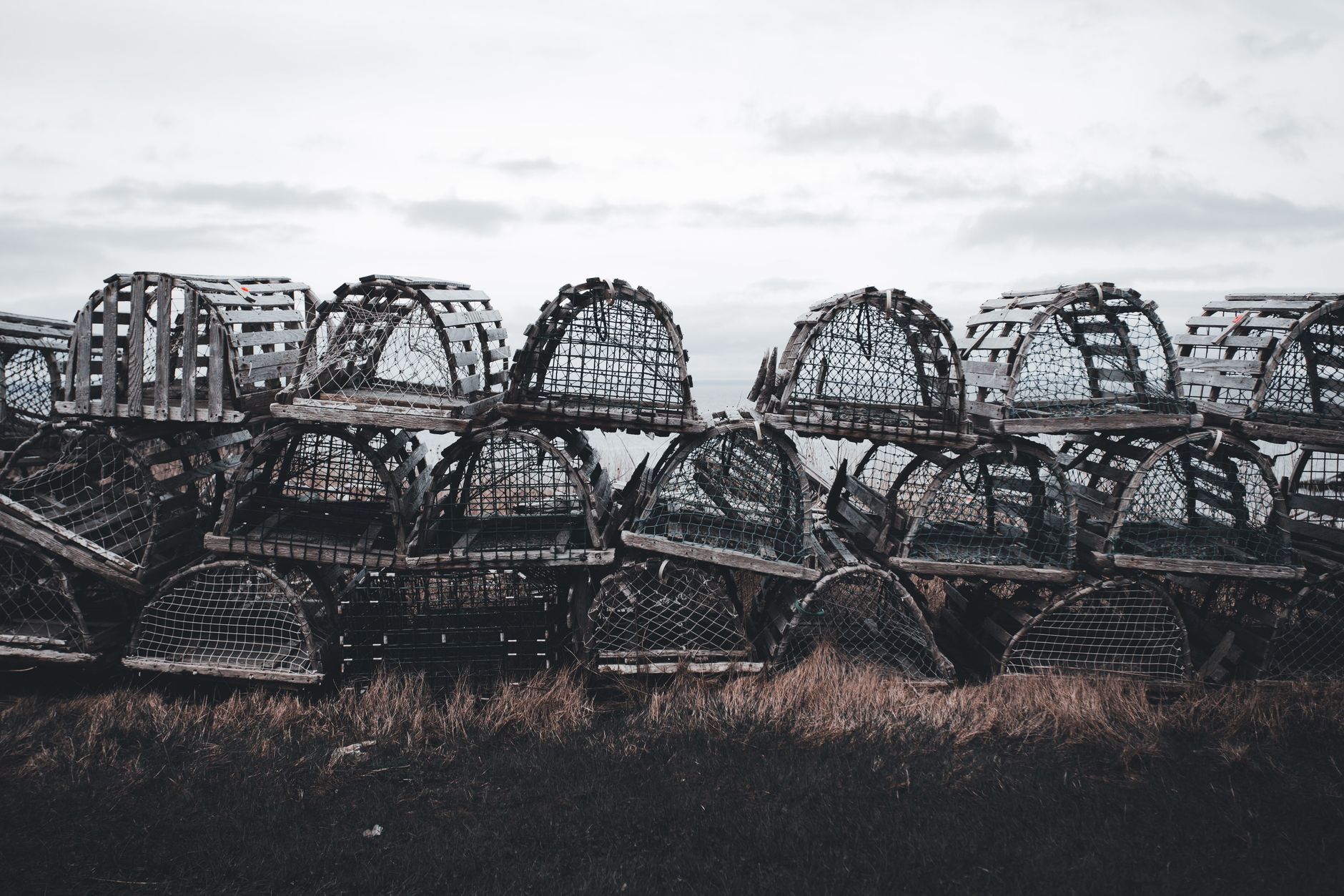 Mole traps