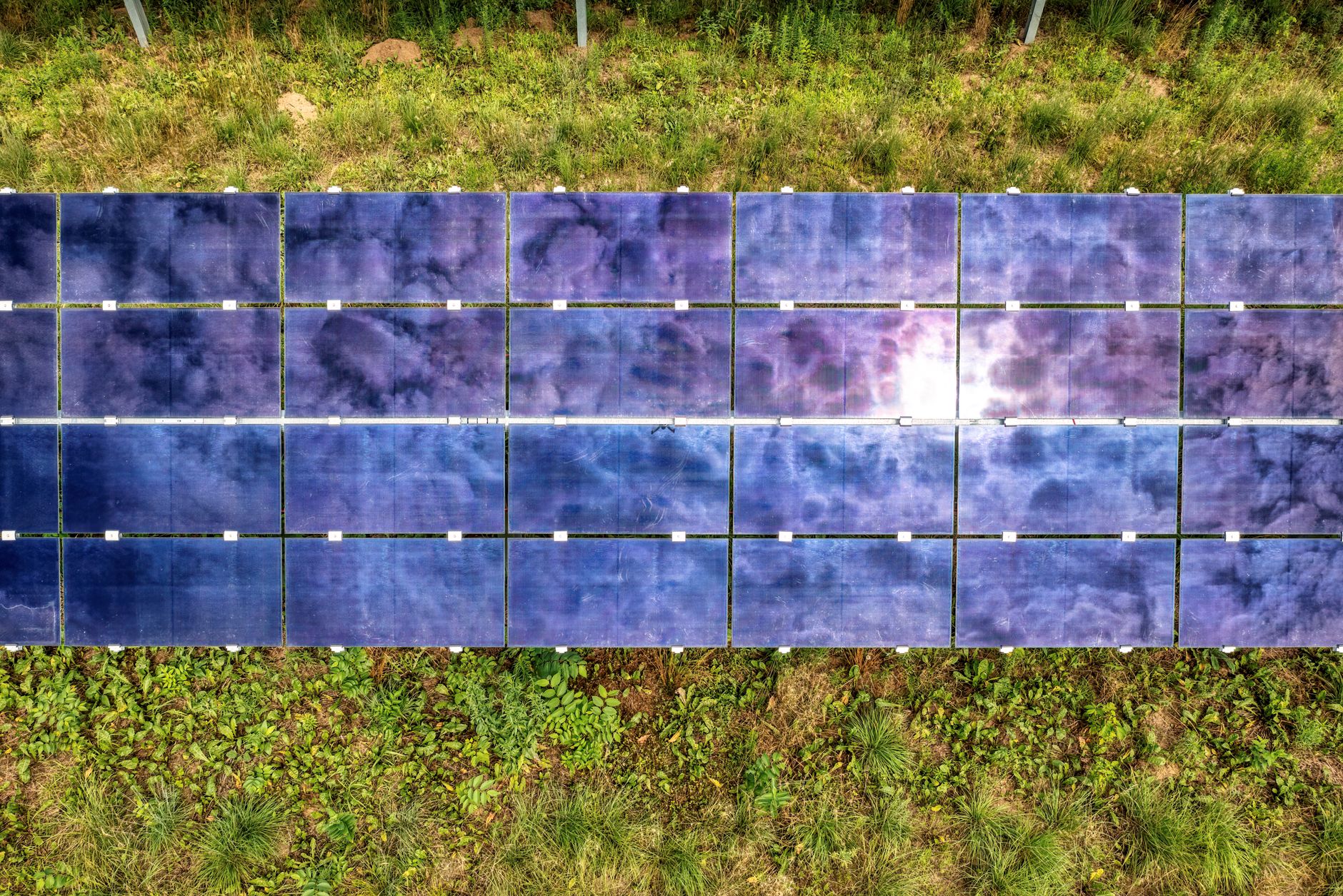 Solarization