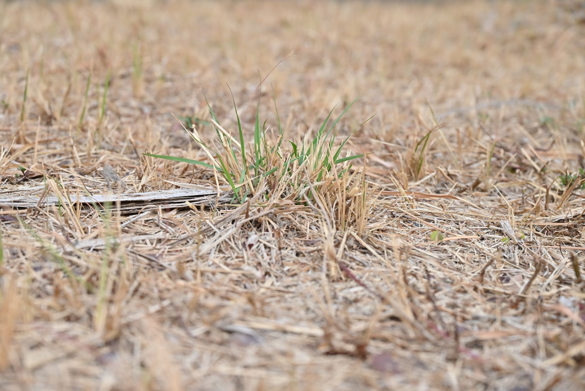 Prevention