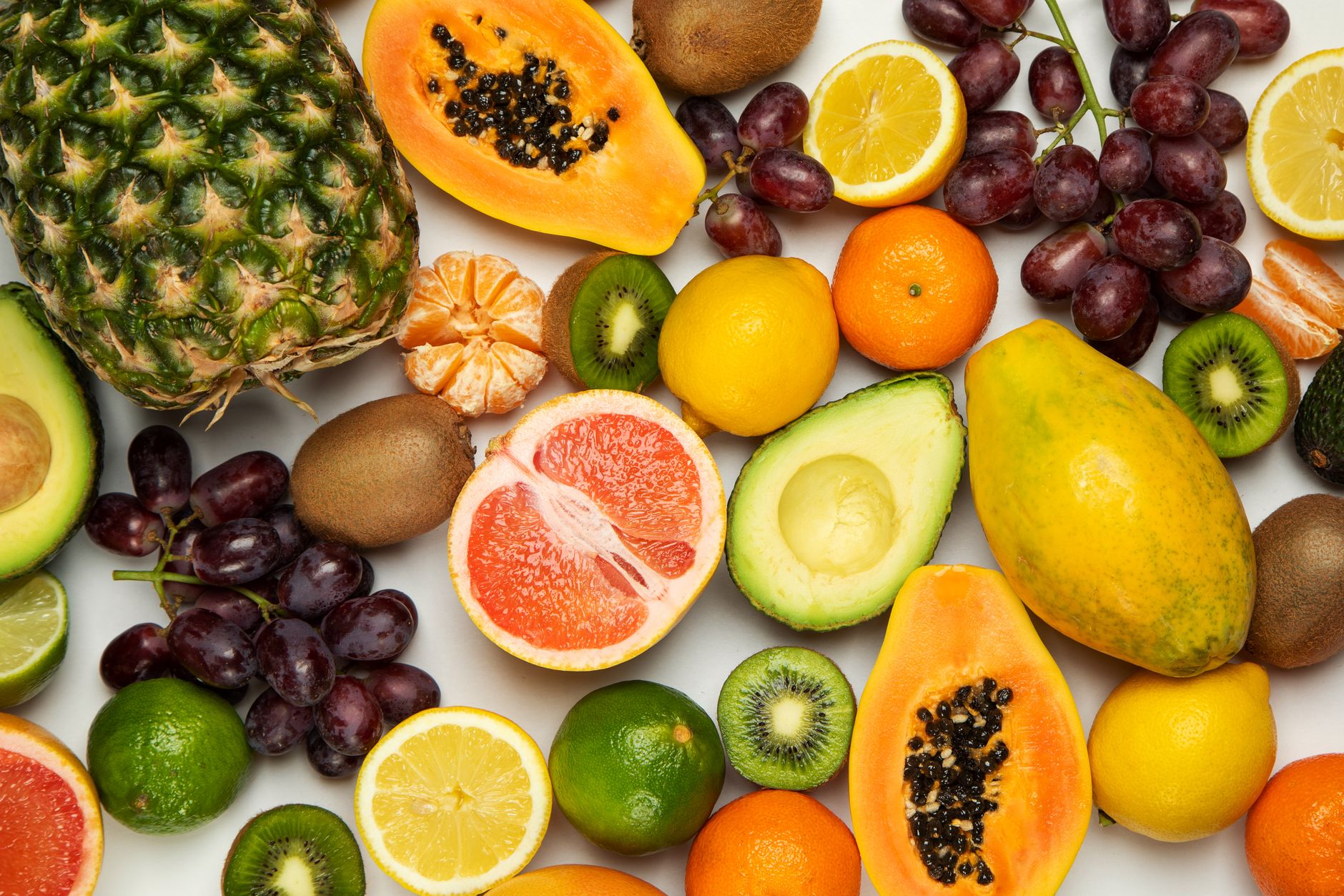 Avocado varieties