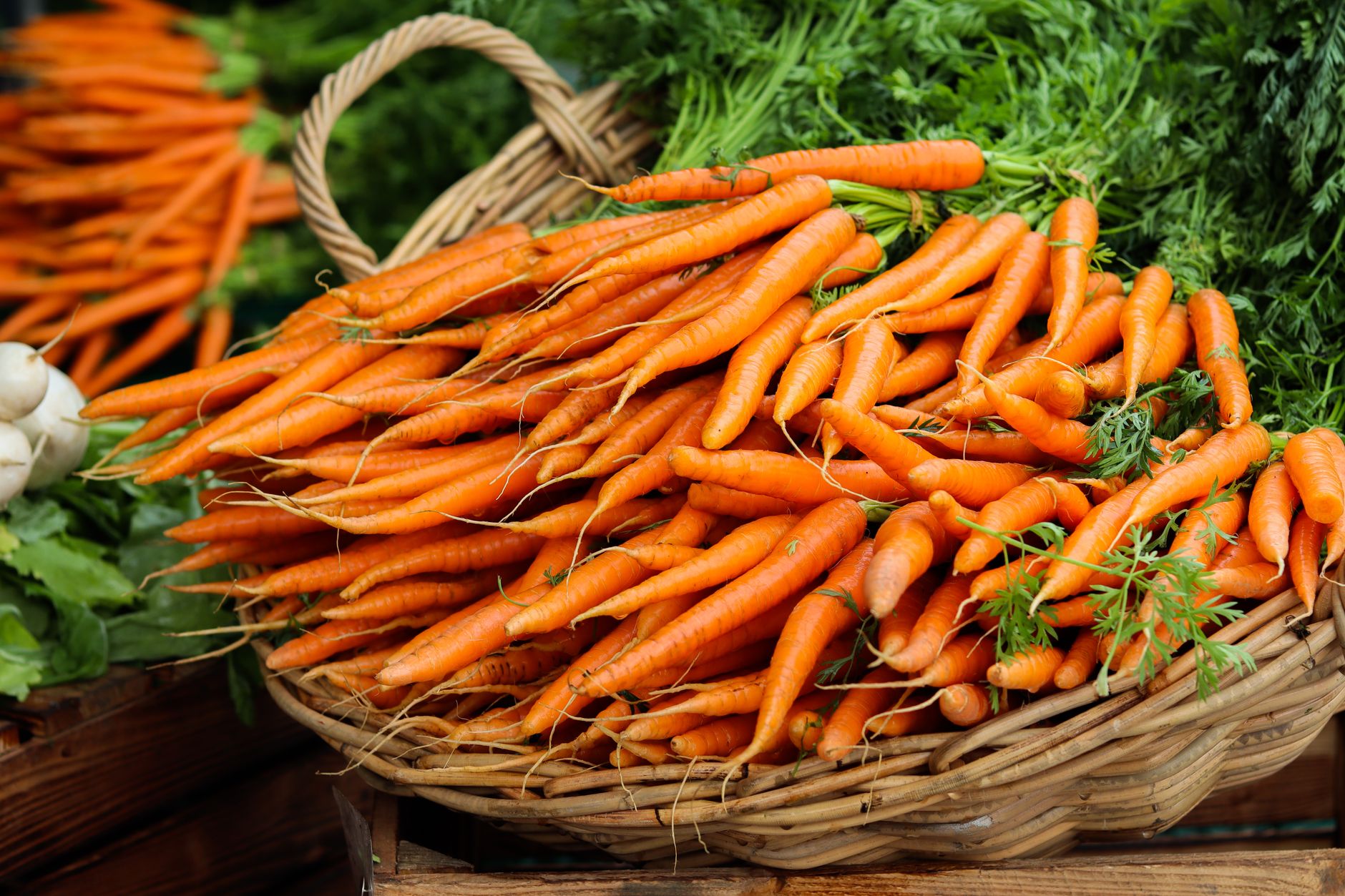 A deep container for carrots