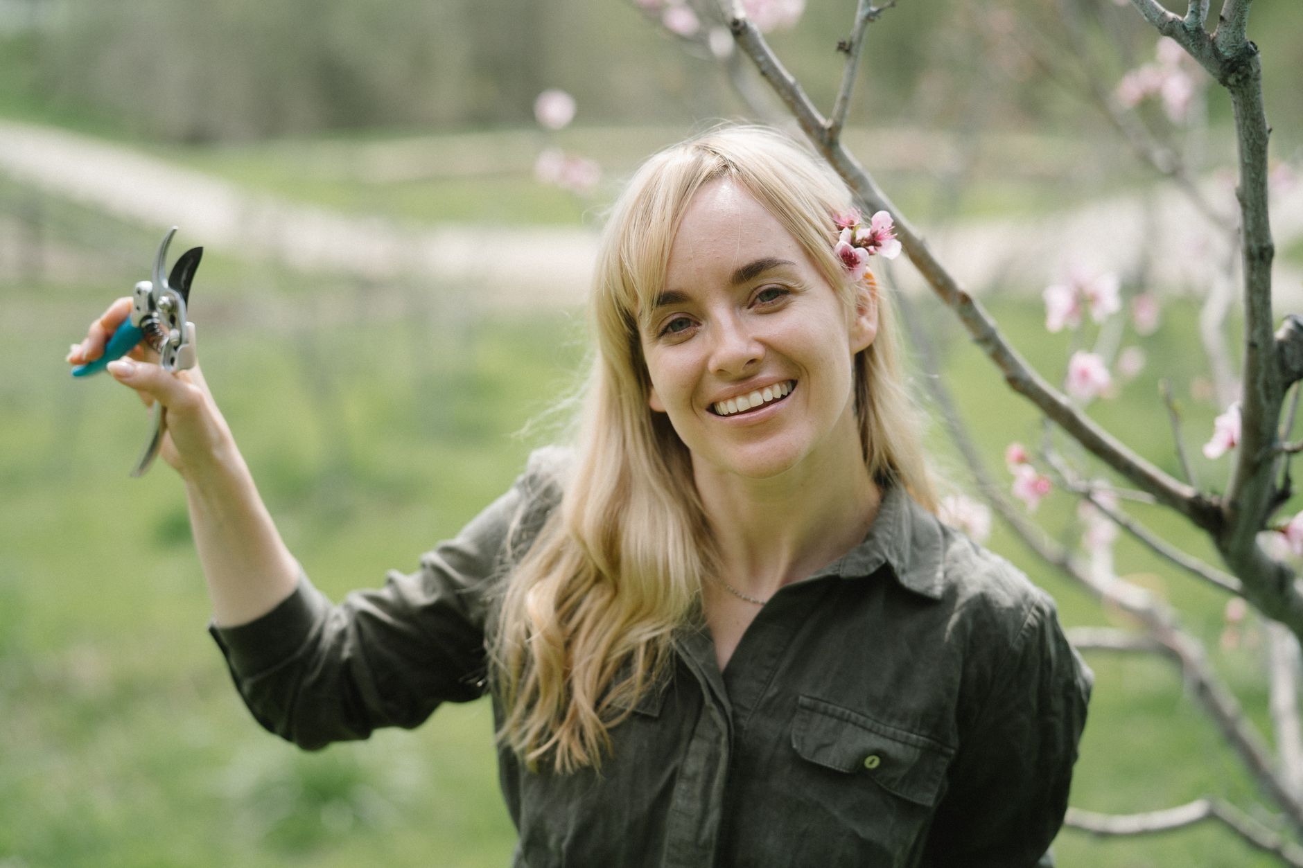 Pruning cherries