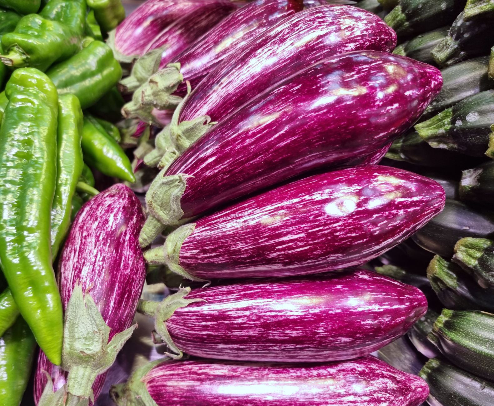 Staked eggplant plant with fruit