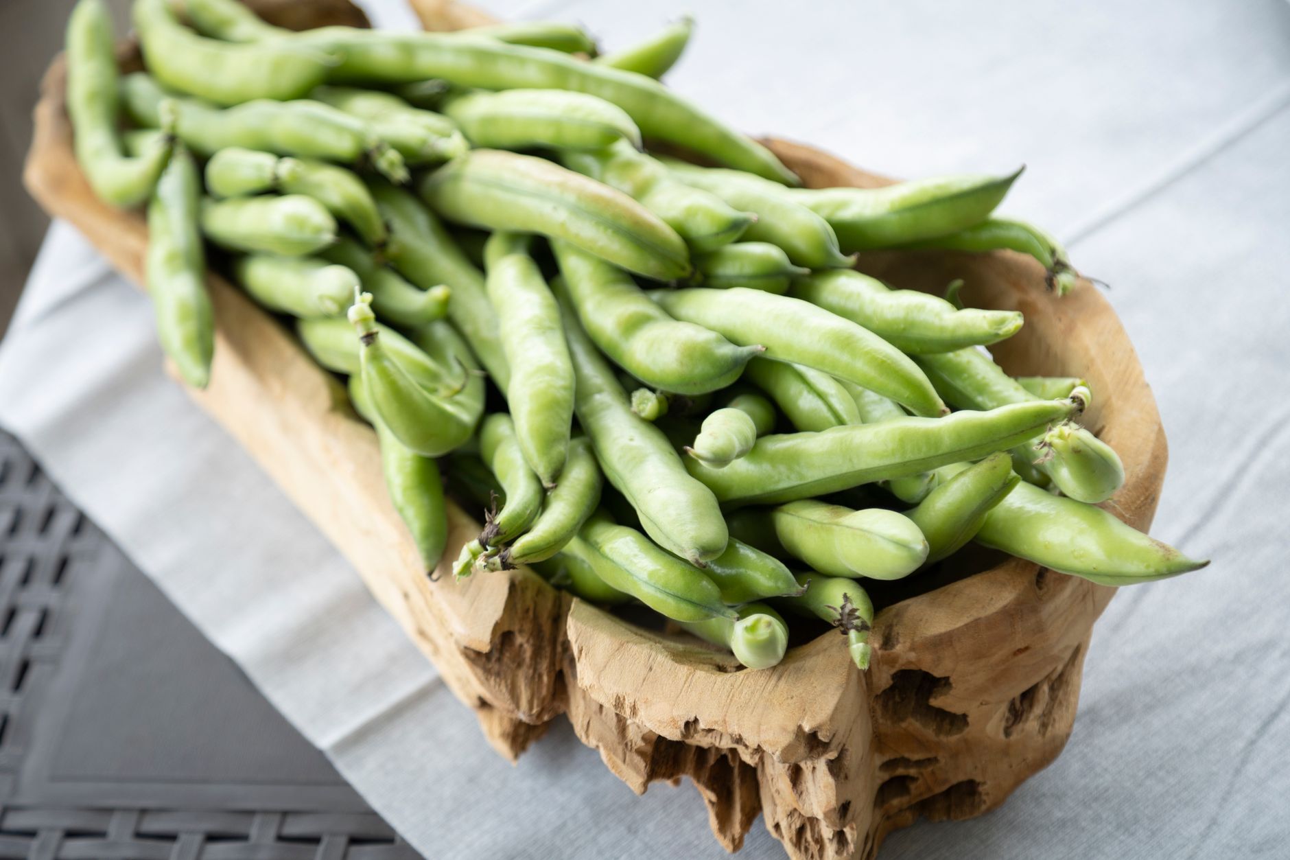 Watering green bean plants