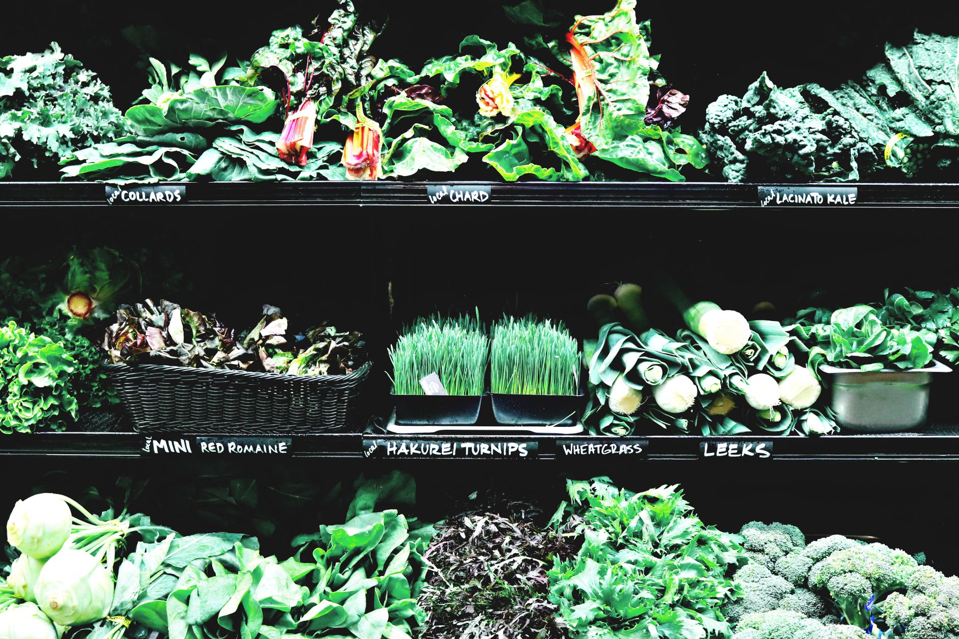 Different kale varieties