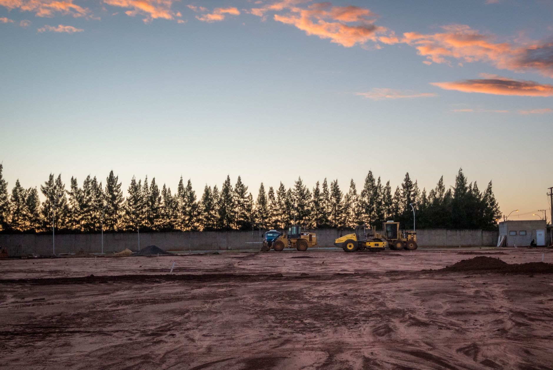 Kiwi planting site