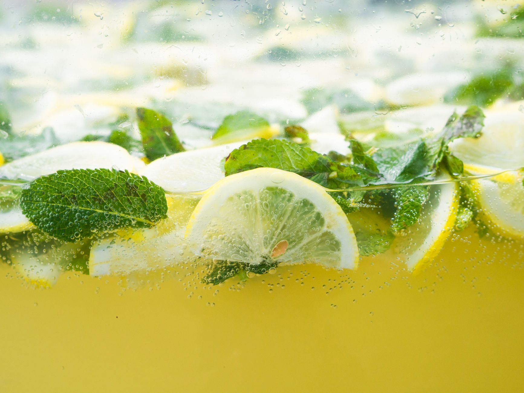 Lemon balm care