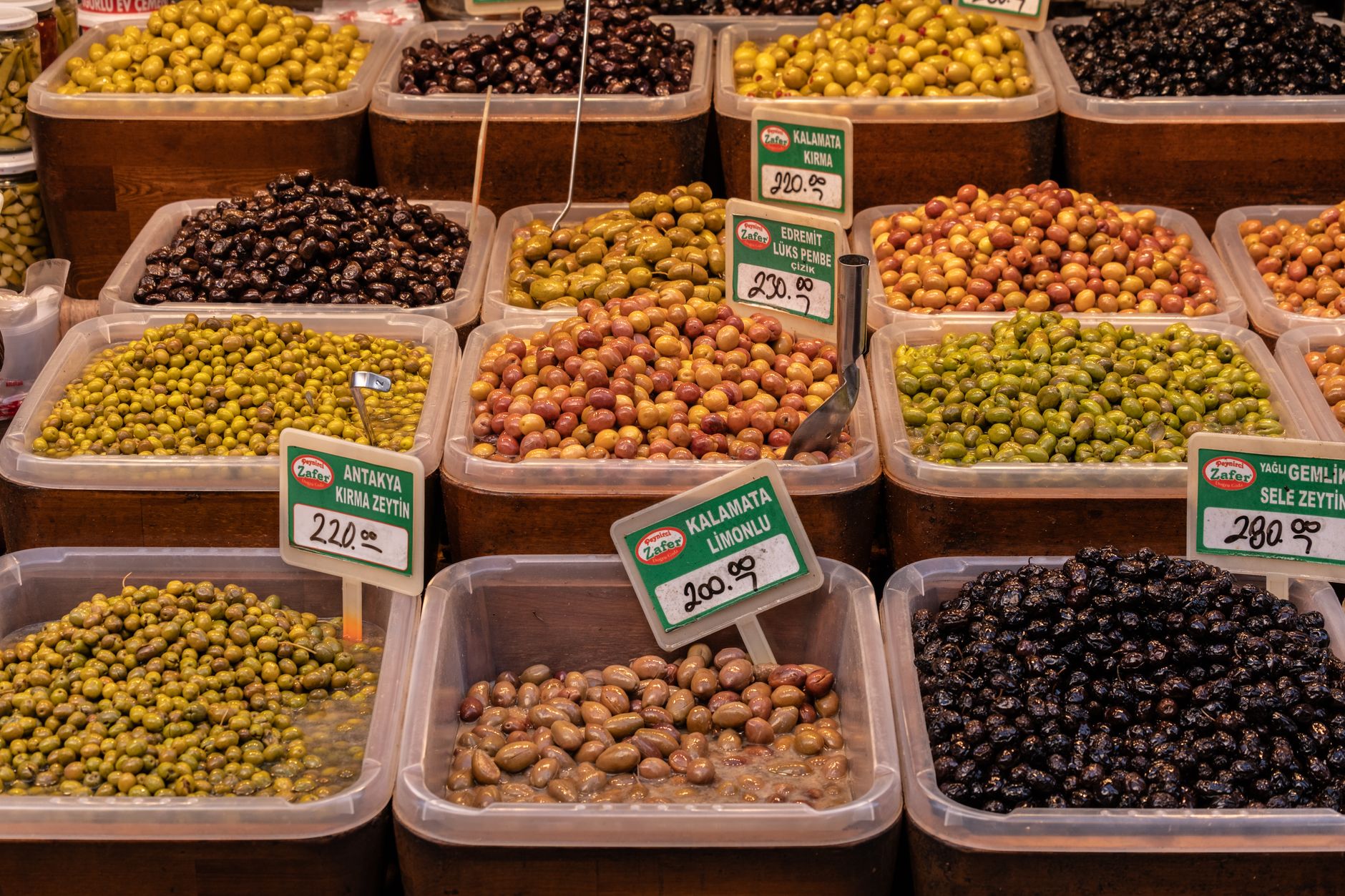 Olive varieties