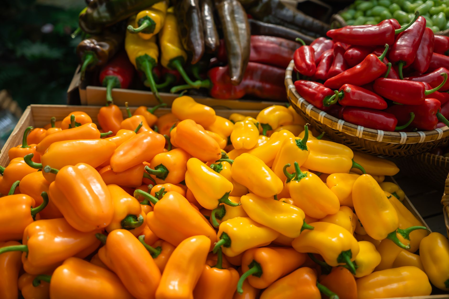 Assorted pepper varieties
