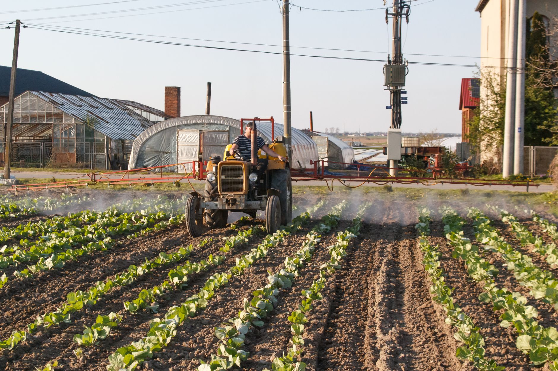 Watering and fertilizing