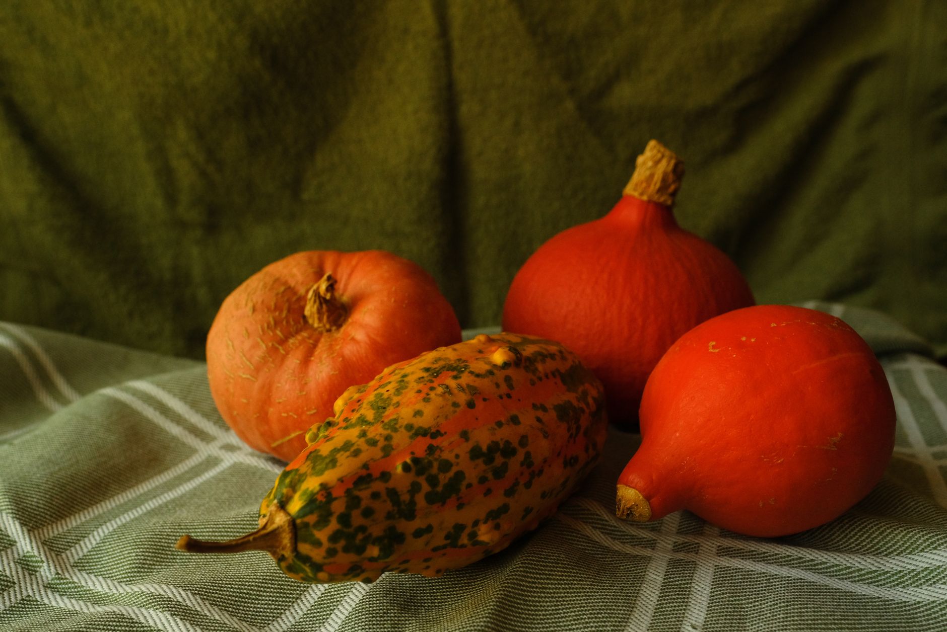 Harvesting mature winter squash