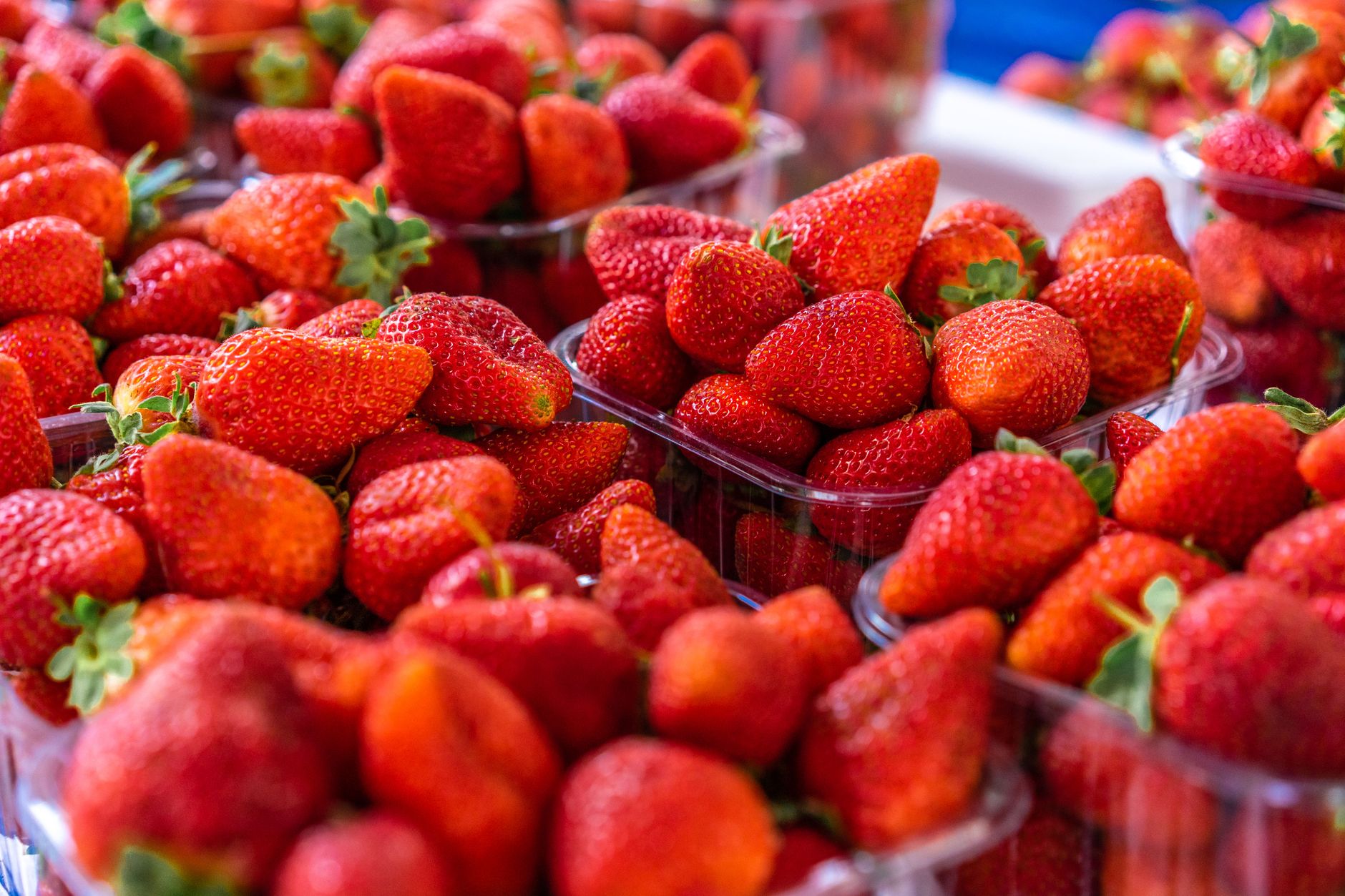 Managing strawberry runners