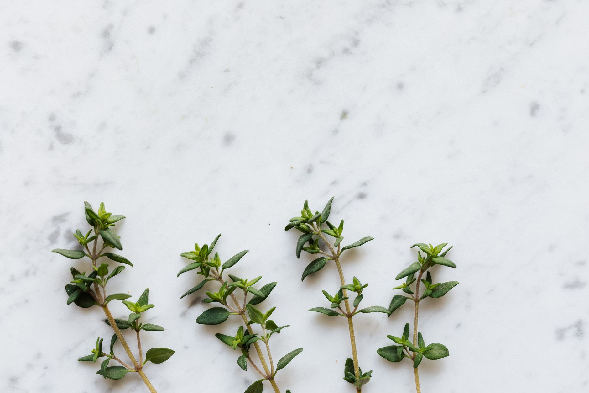 Thyme location