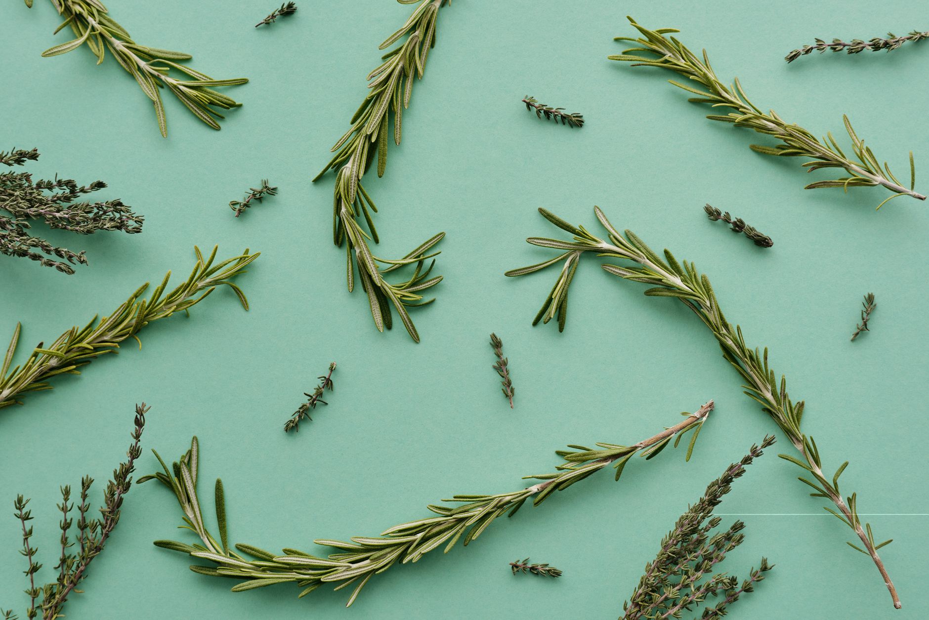 Thyme pruning
