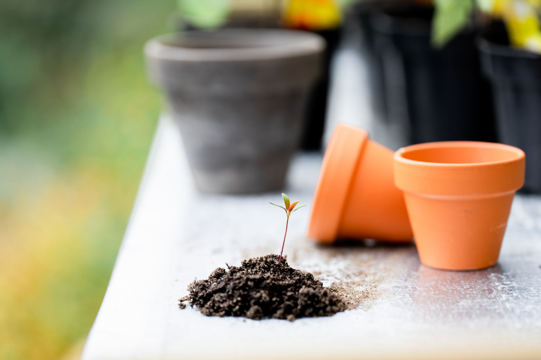 Potting mix for container gardening