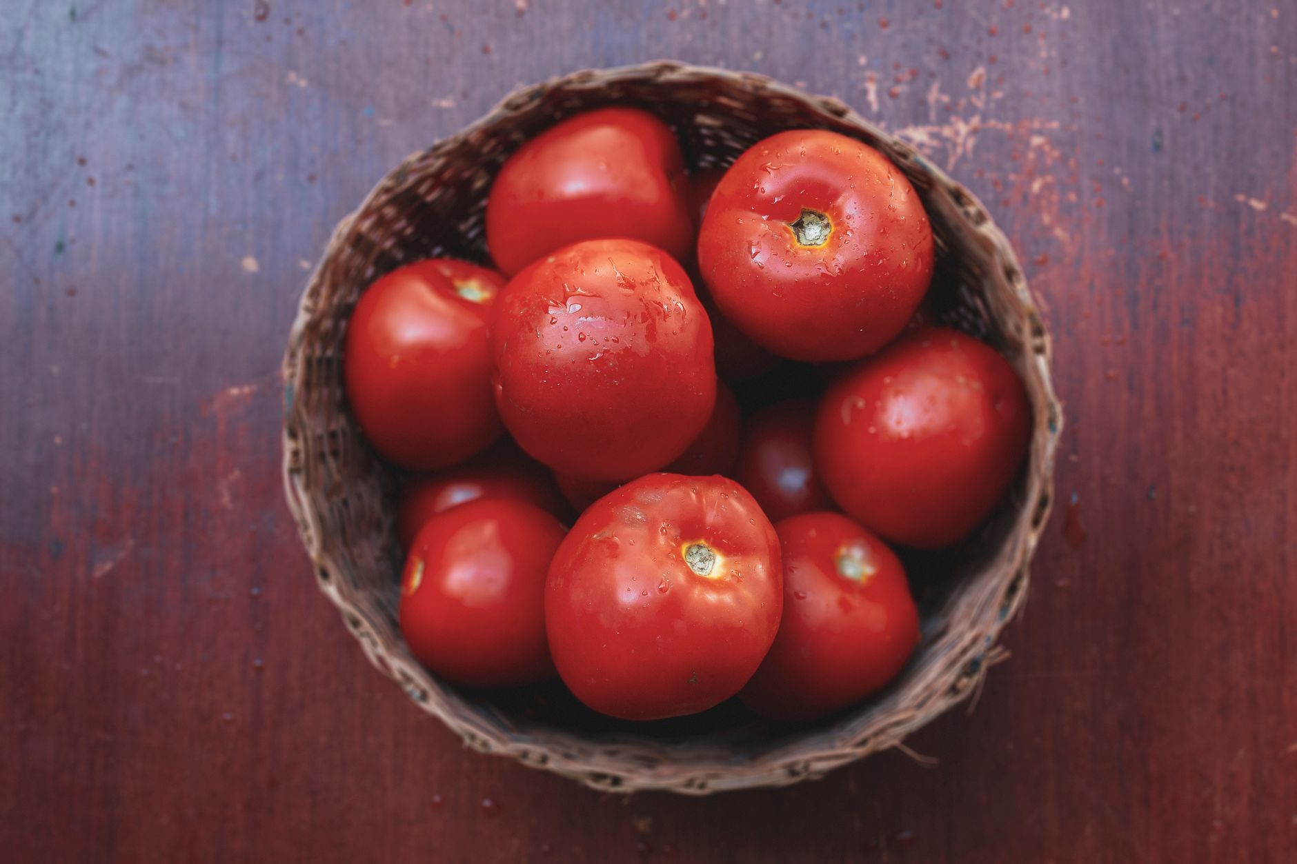 Harvesting container-grown tomatoes