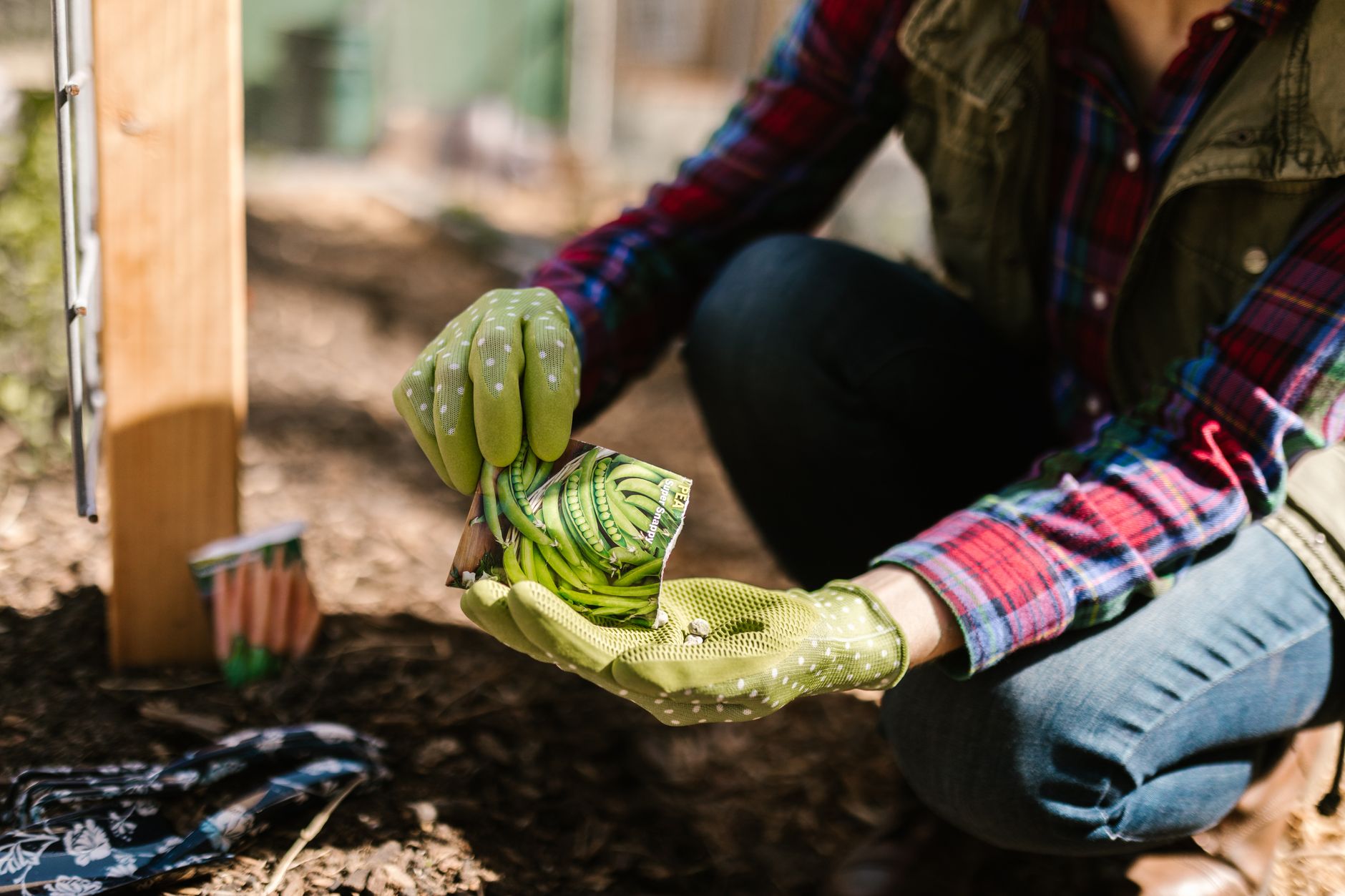 Planting seeds