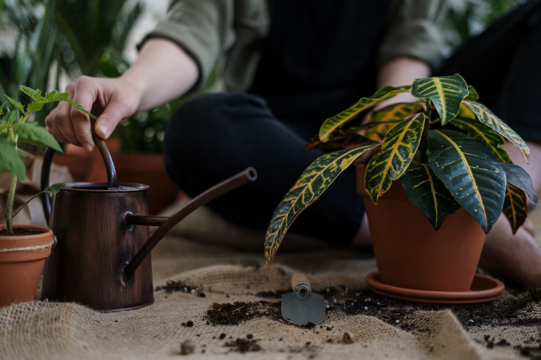 Essential basic garden tools