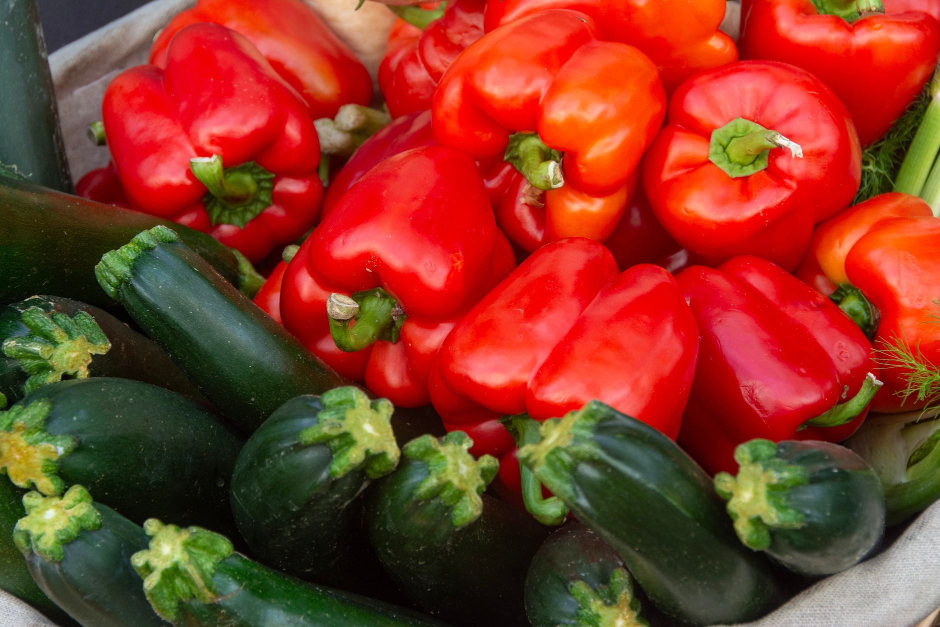 Fresh zucchini harvest in a basket