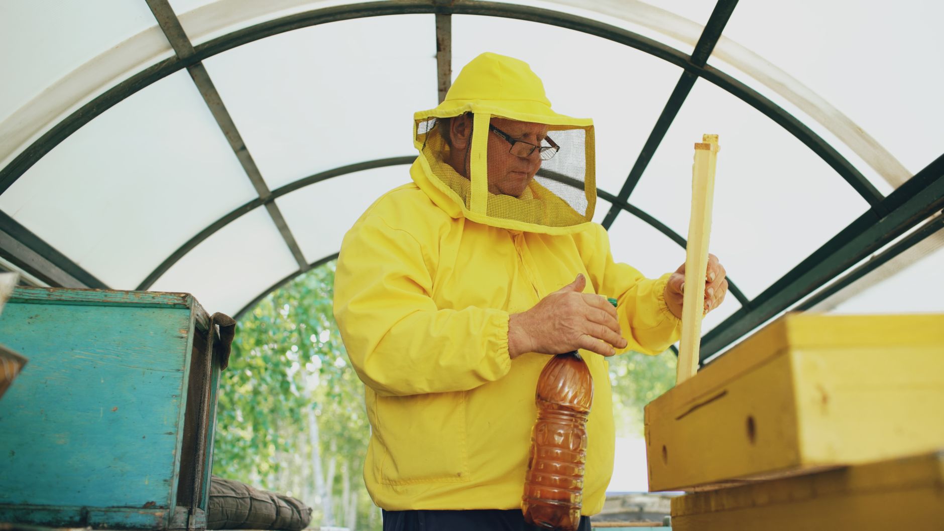 Reserved winter honey for the colony